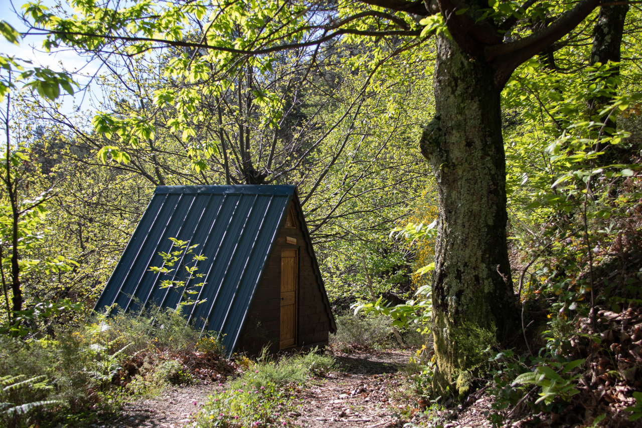 La Cabane Forestière : une immersion au cœur de la nature