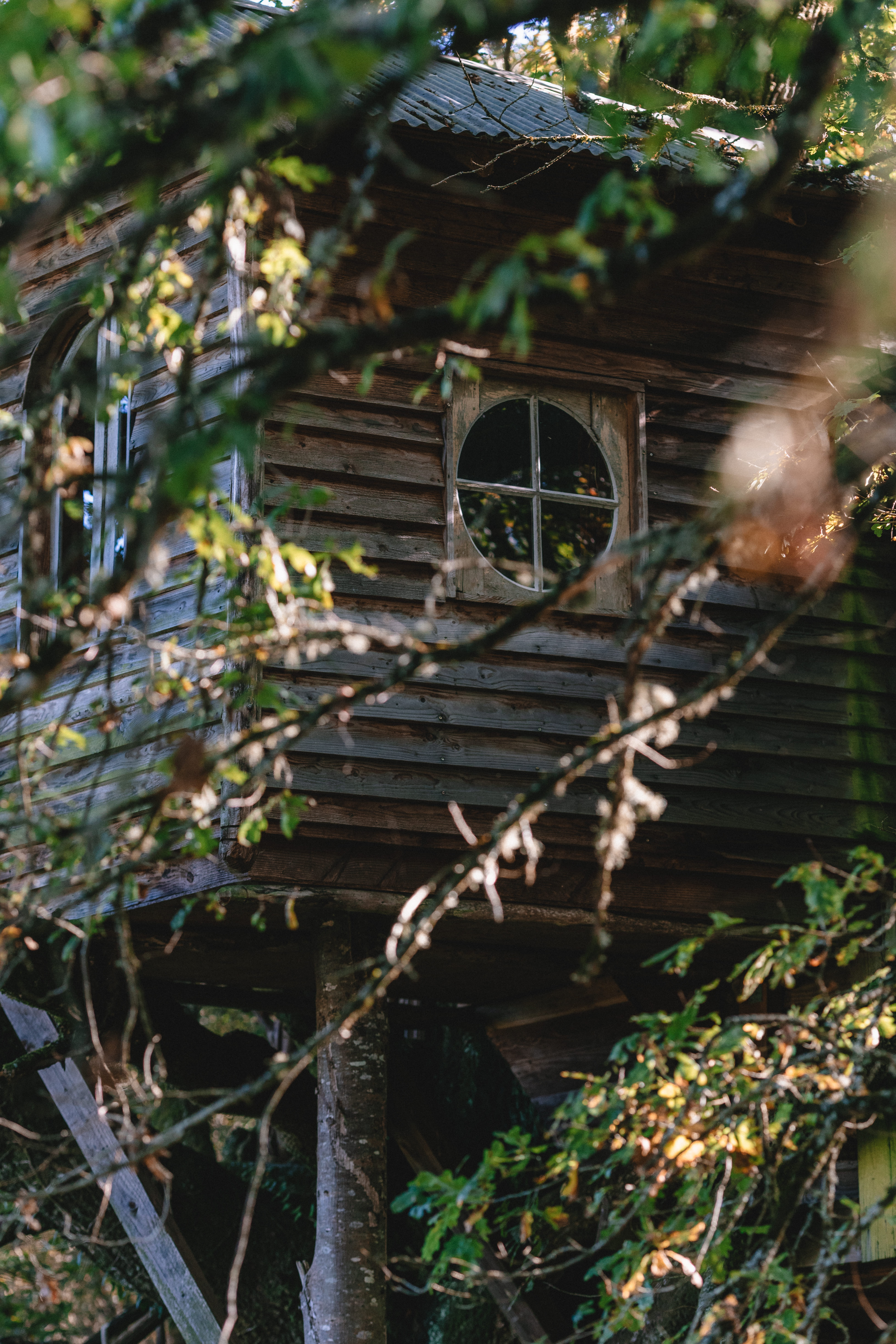 La cabane Peyrade — Nuit perchée à 6m dans les arbres en Corrèze à Brive-la-Gaillarde — environnement naturel