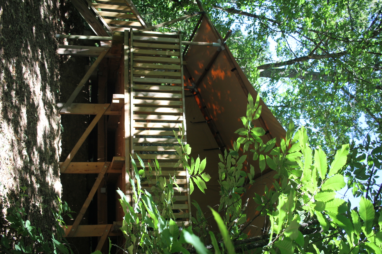 Tente Lodge Forestière — Séjour glamping à 8m en Dordogne à Alles-sur-Dordogne — salle de bain
