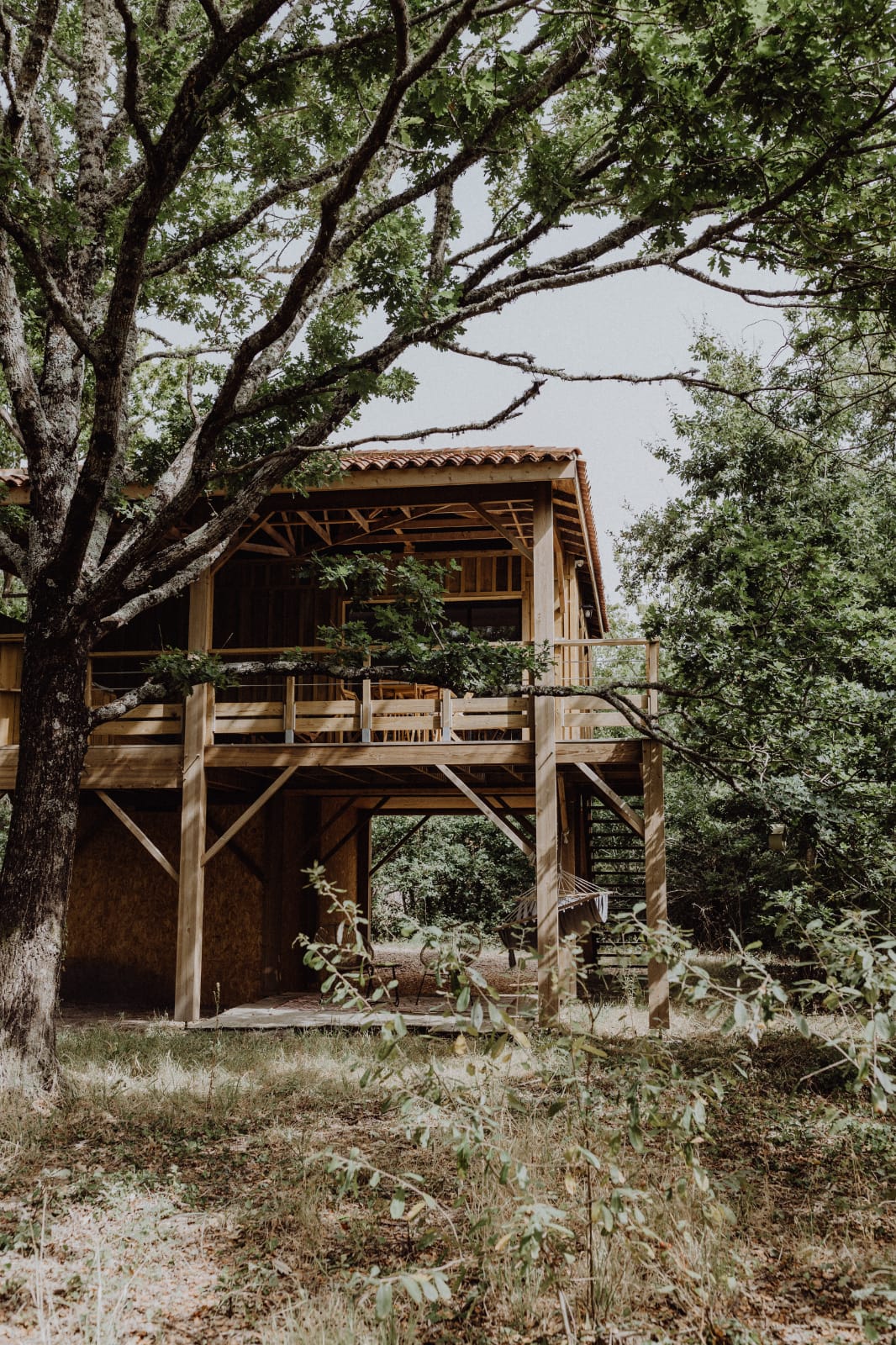 Côte & Lodge Spa : une cabane sur pilotis au cœur de l'Aquitaine
