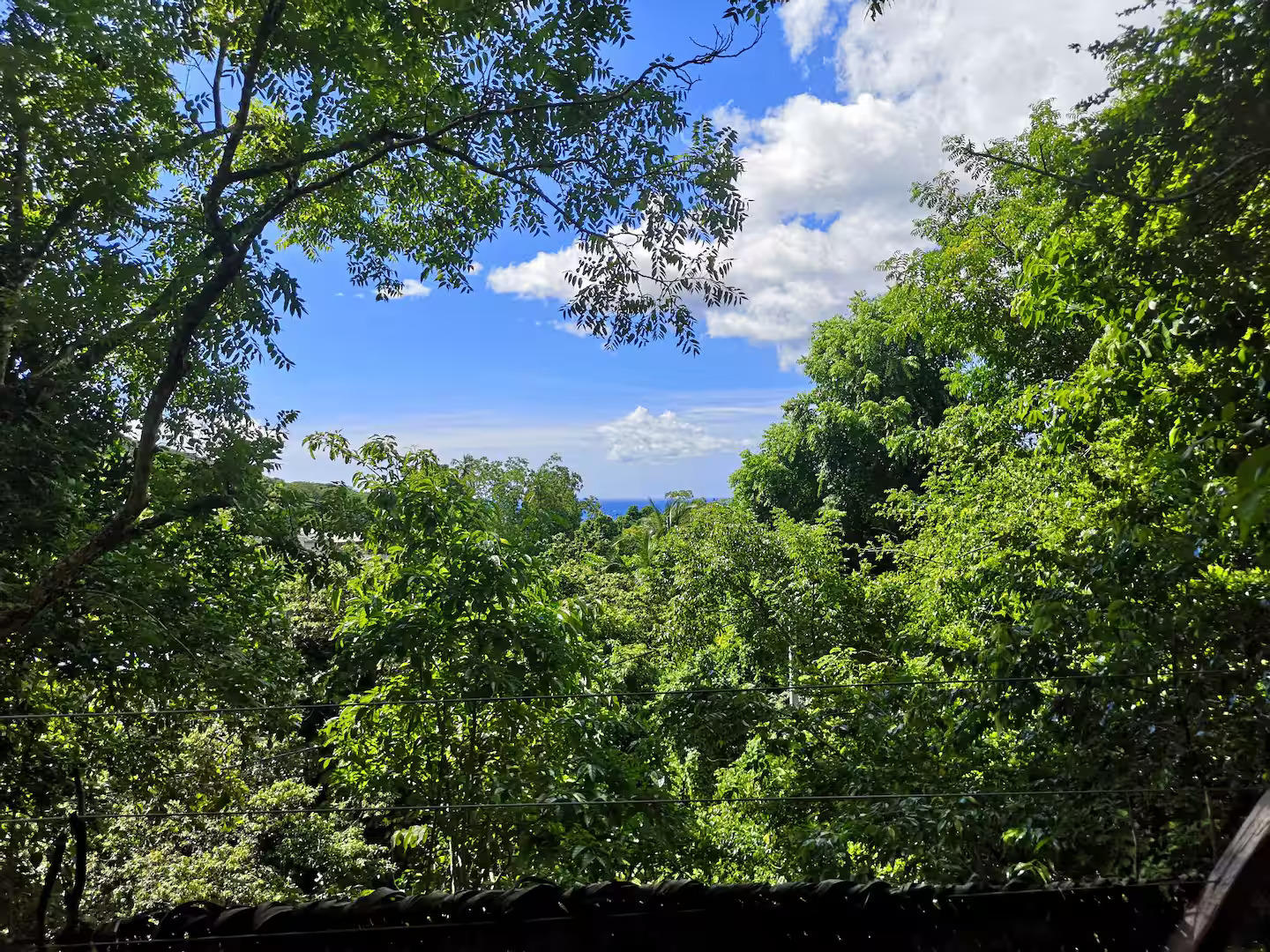 Ti Kabane Kaz Zion — Cabane dans les arbres avec vue mer en Guadeloupe à Basse-Terre — détail architectural