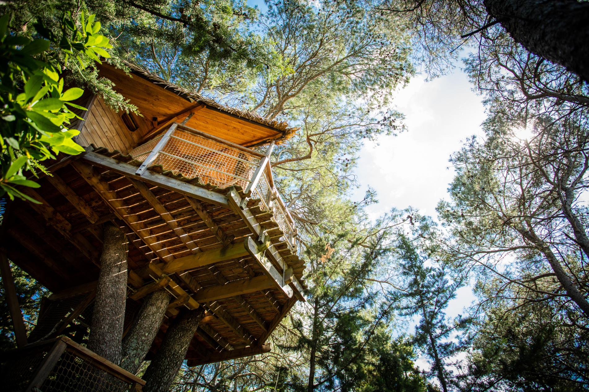 Évasion en cabane : Tourterelle, un refuge dans les arbres à Castries — espace de vie