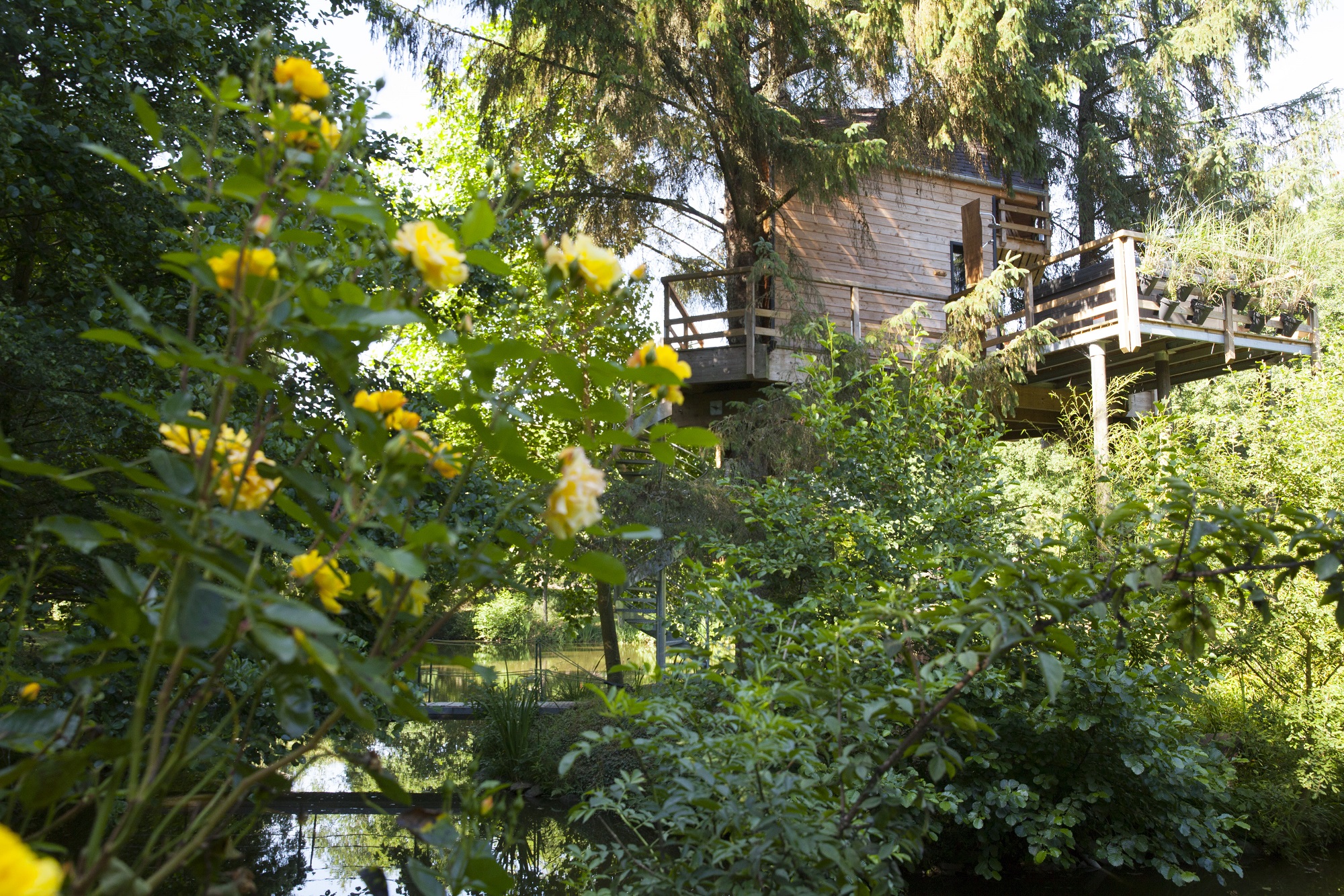 Cabane Spa Koad'dour — Nuit perchée à 6m en Ille-et-Vilaine à Rennes — vue depuis la terrasse