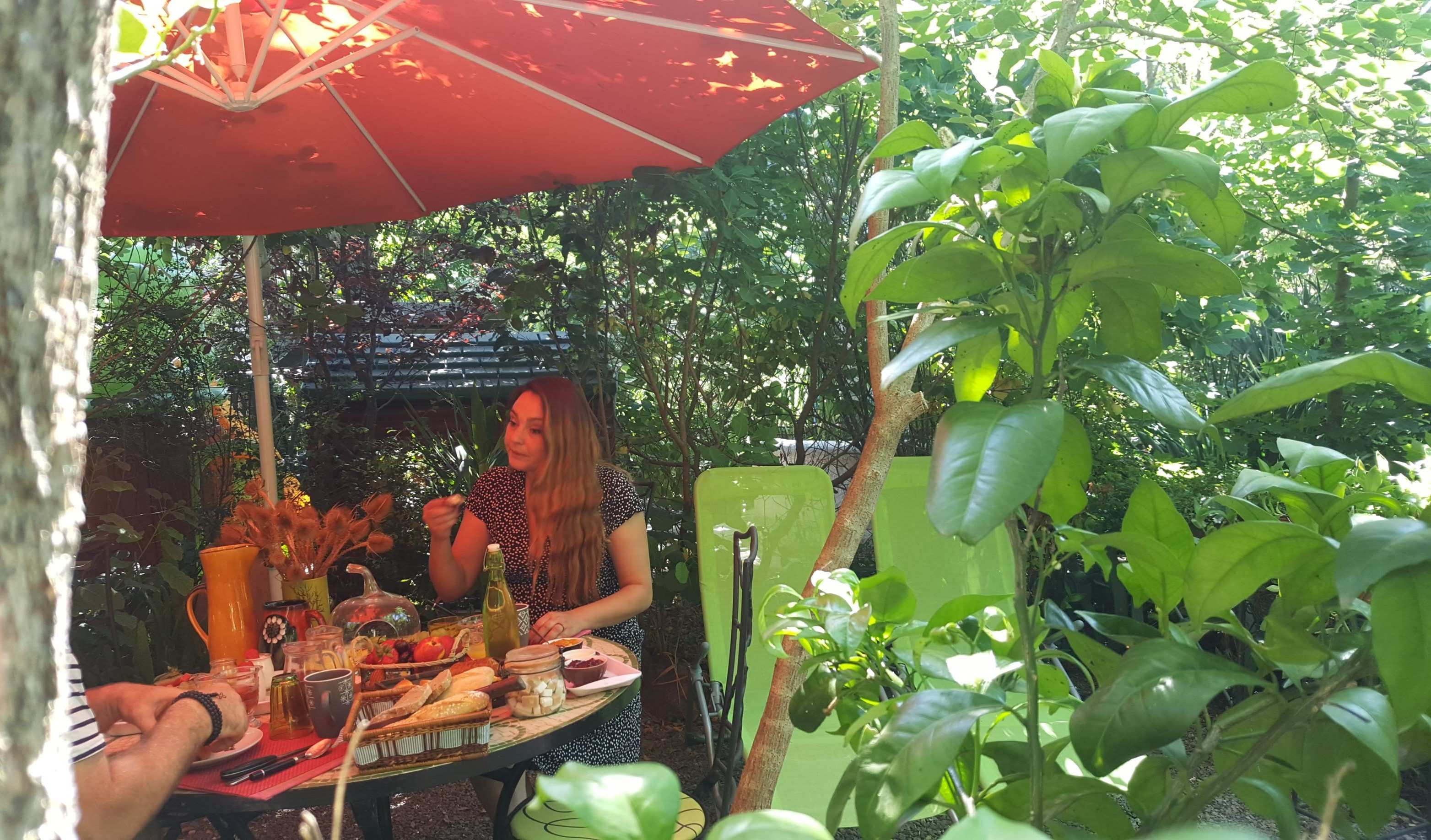 Tiny Garden — Cabane avec spa et jardin à Le Portel des Arnaud à Durfort-et-Saint-Martin-de-Sossenac — vue depuis la terrasse
