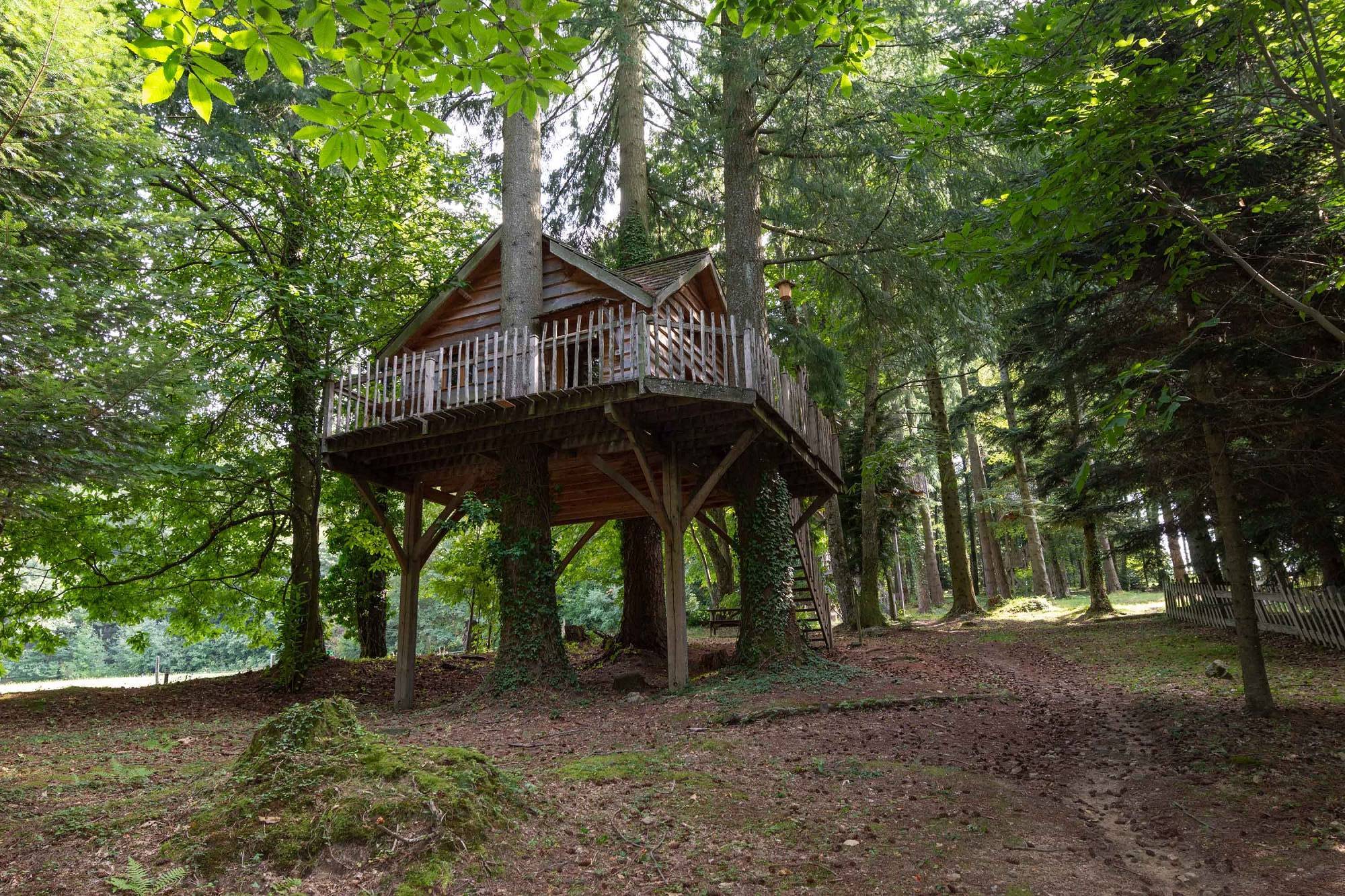 Cabane Panda : une expérience suspendue dans les arbres