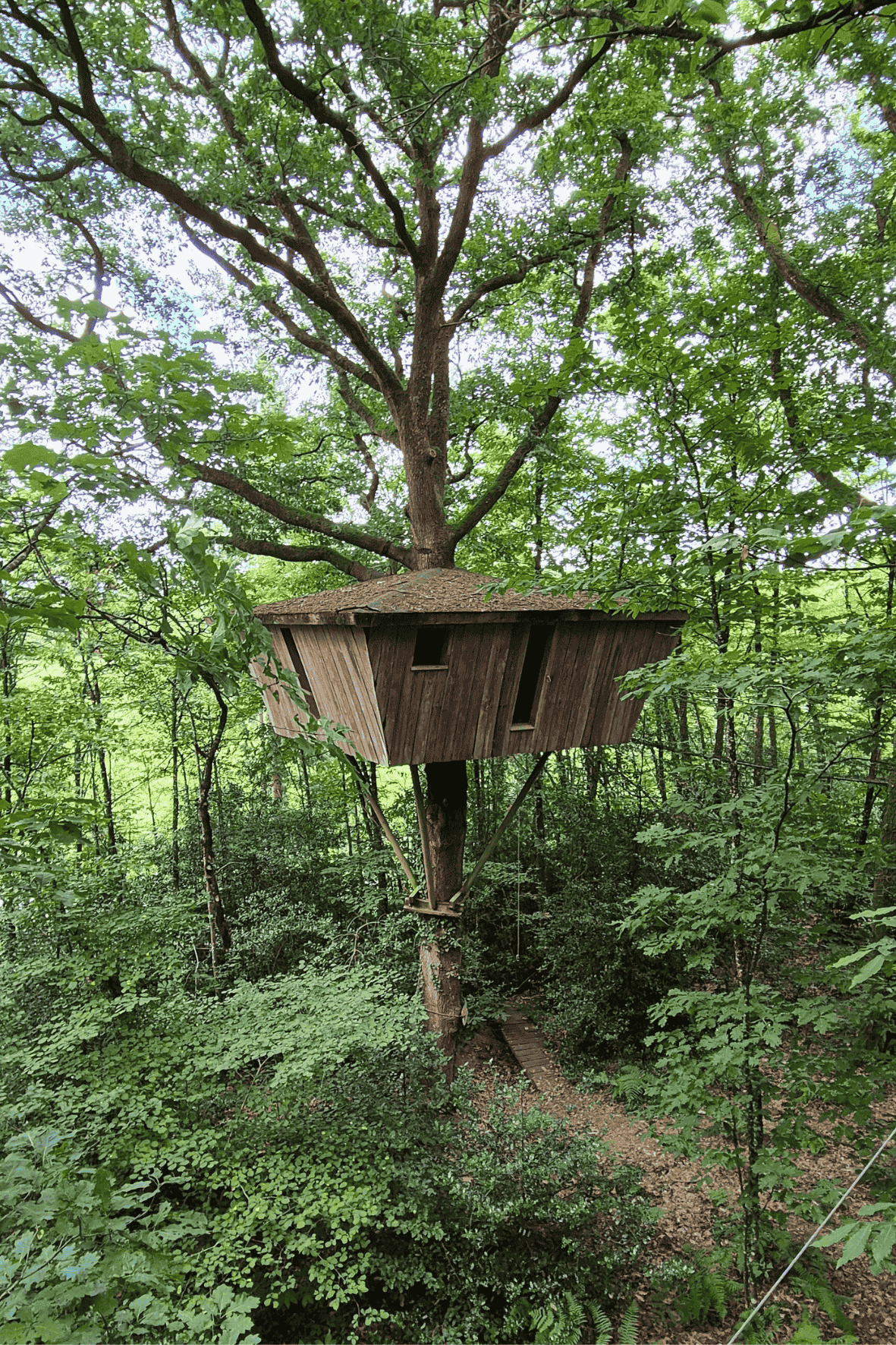 Cabane Hulotte — Nuit perchée à 8m dans les arbres en Mayenne
