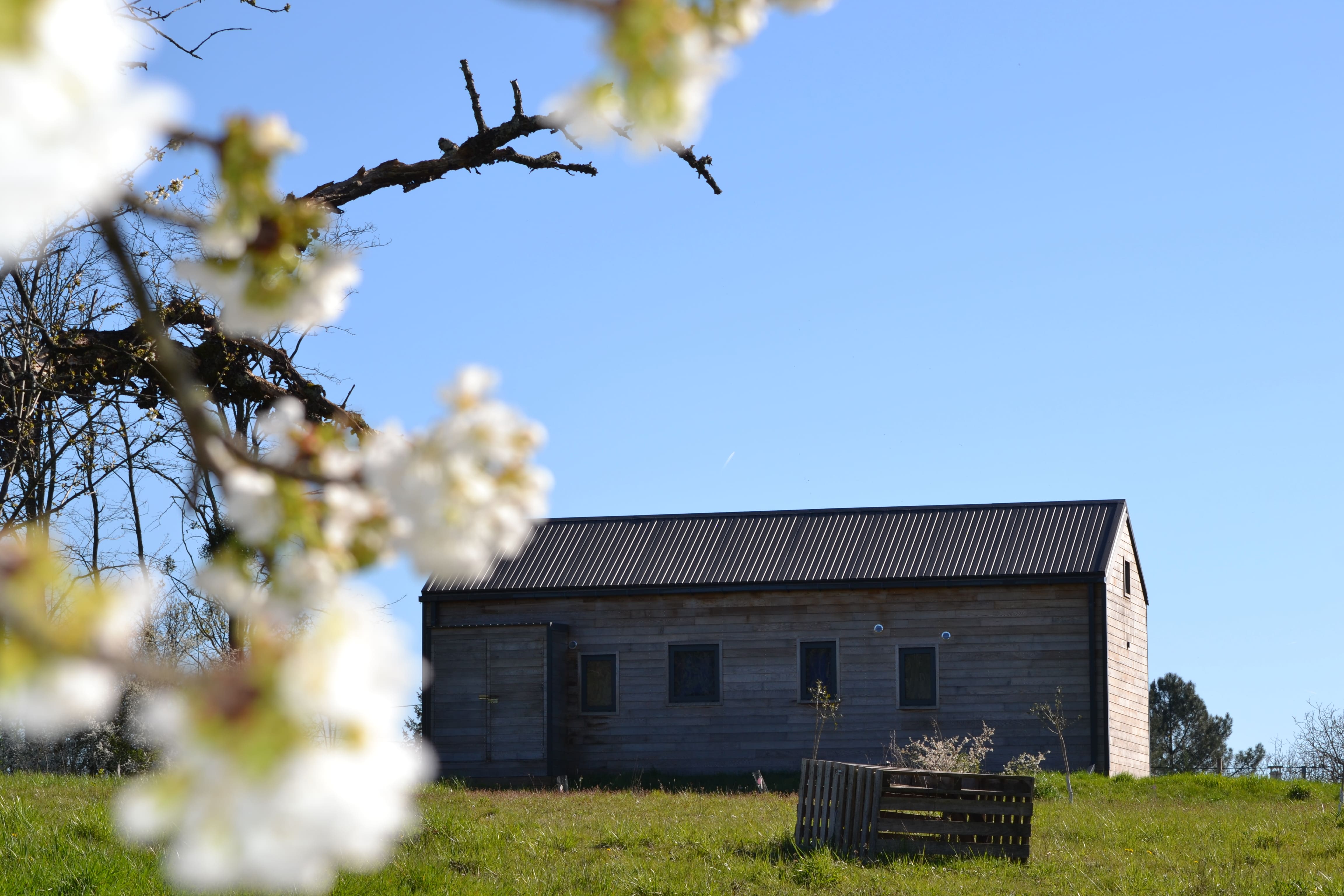 Cabane de l'Ecureuil — Écolodge avec bain nordique à Loir-et-Cher à La Ferté-Imbault — cuisine