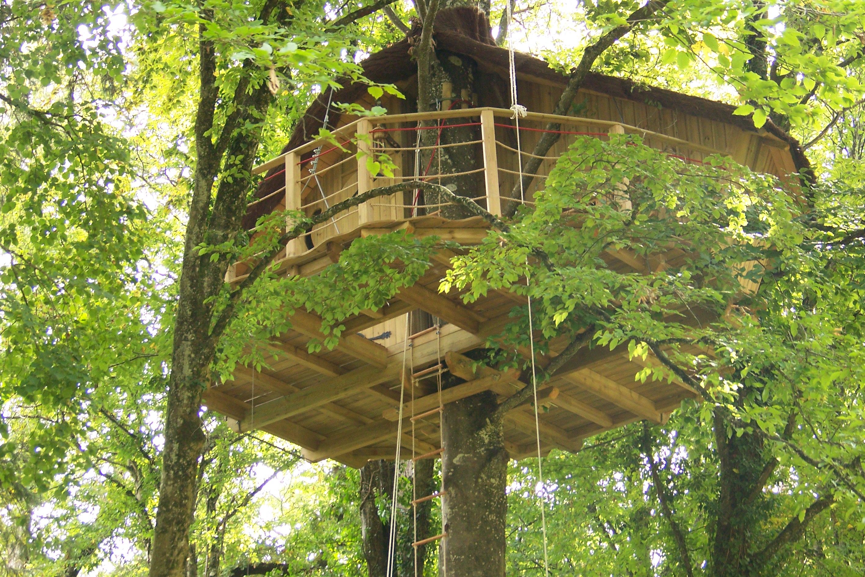 Cabane des Lémuriens : une échappée verte dans les arbres à Magné — vue intérieure