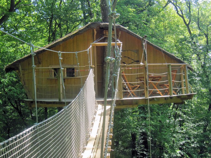 Cabane des Gibbons : une évasion dans les arbres en Nouvelle-Aquitaine — Cabane à Magné