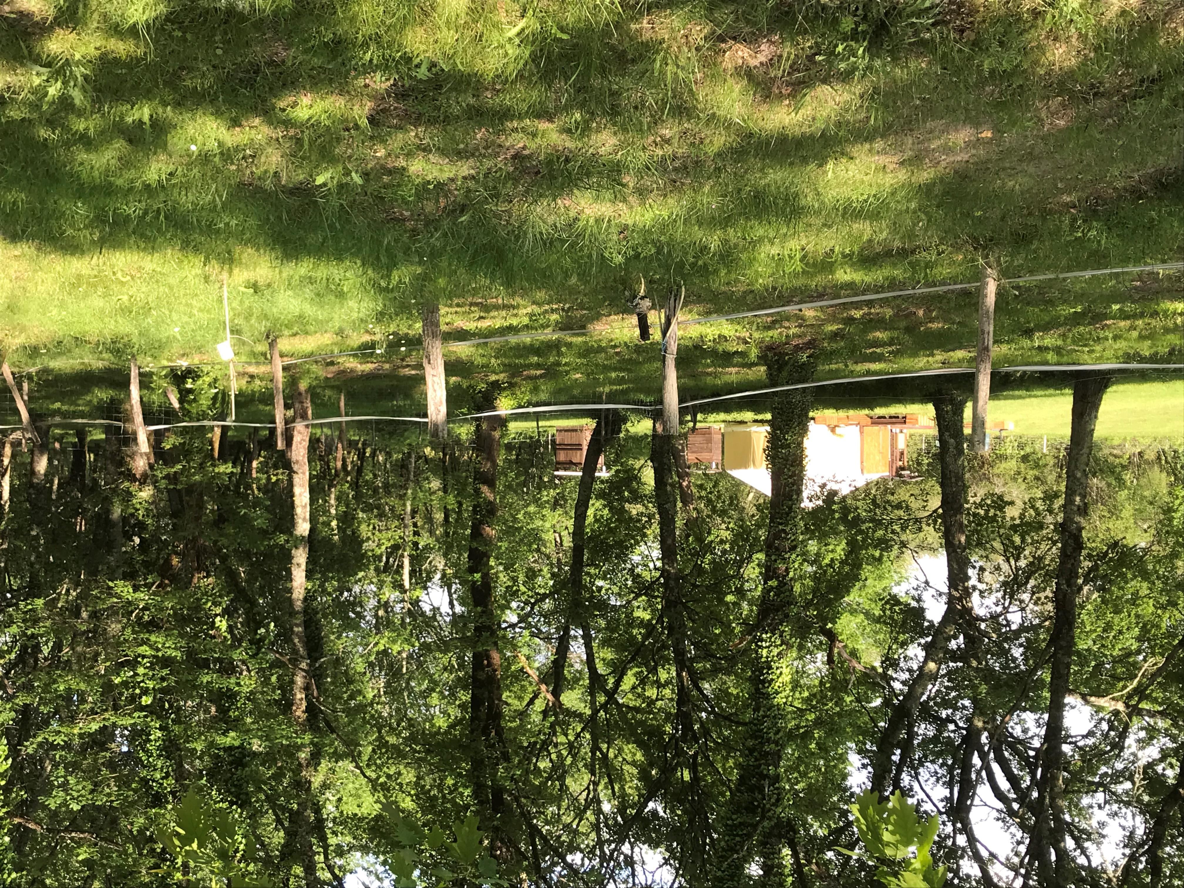 Évasion dans une yourte climatisée en Aquitaine à Grignols — vue intérieure