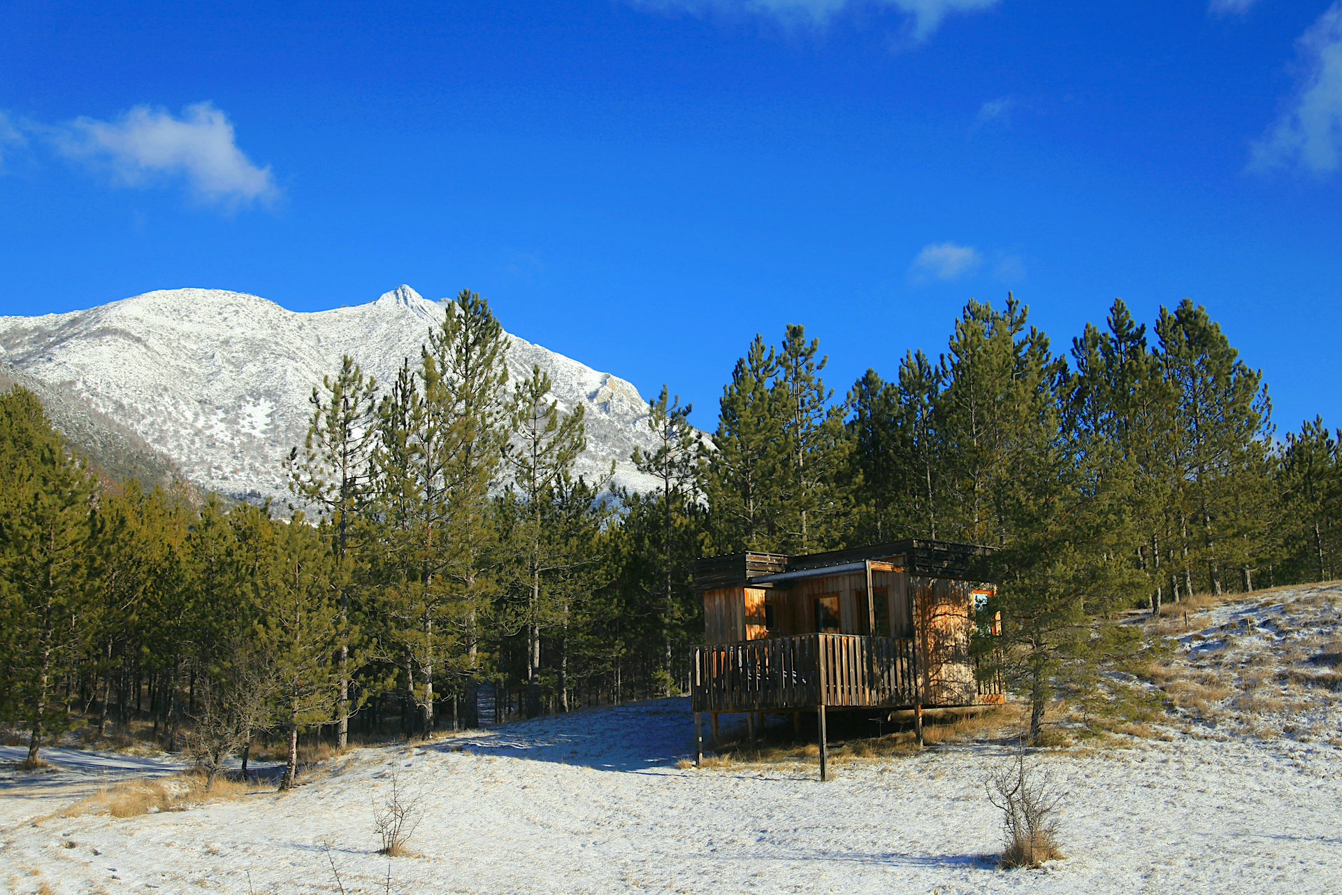 Ecolodge Andromède : une cabane sur pilotis au cœur des Hautes-Alpes à Ribeyret — environnement naturel