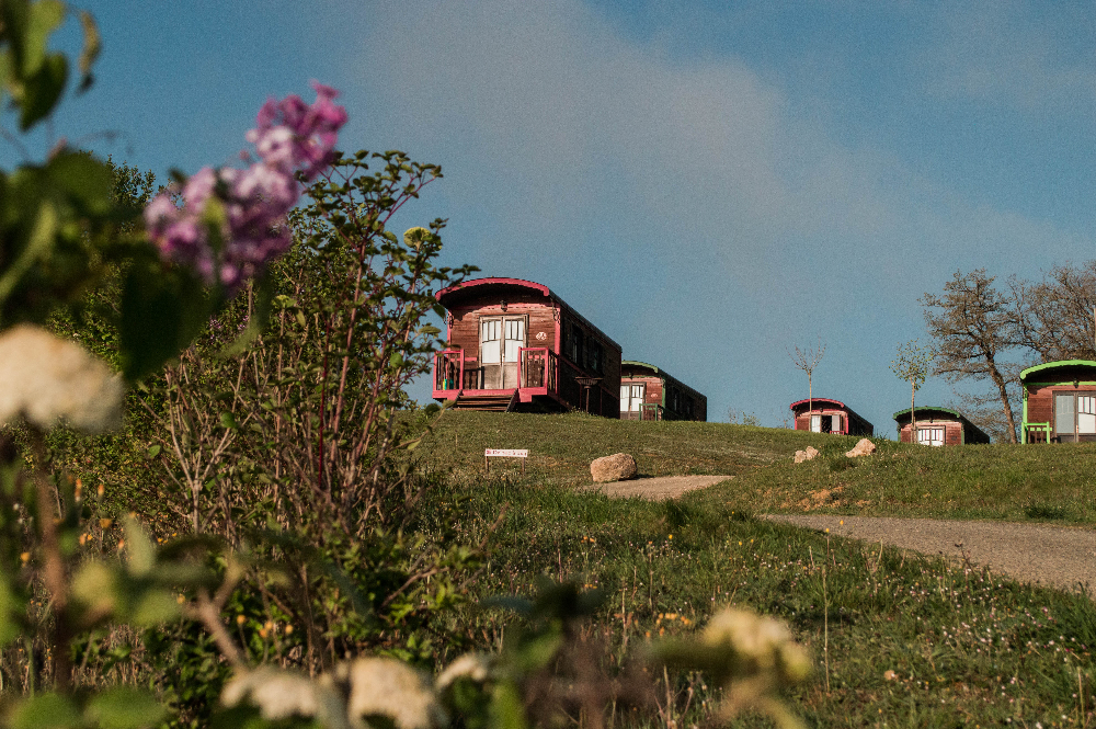 Roulotte Gîte Luxe d'Escapa — Séjour avec spa dans le Gers à Riguepeu — vue depuis la terrasse