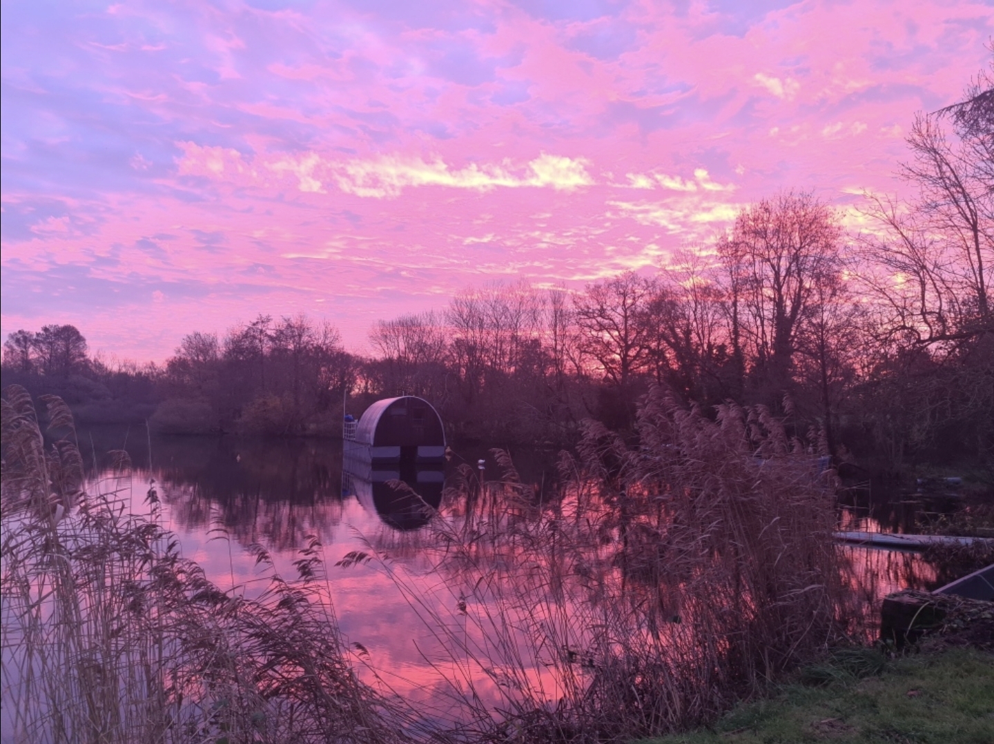 Le bateau cabané — Péniche avec spa à l'Étang des Landes en Vendée à L'Étang des Landes — vue depuis la terrasse