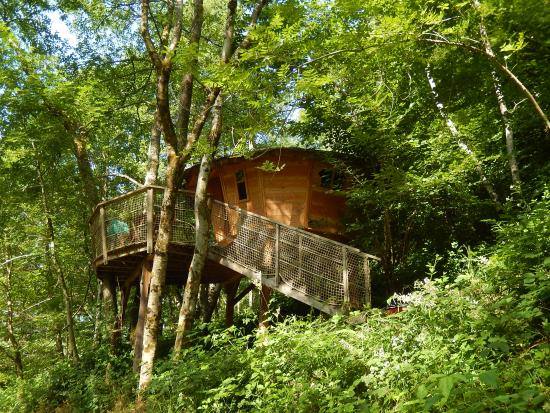Une cabane sur pilotis : Le Petit Toit du Monde en Alsace — Cabane à Grandfontaine