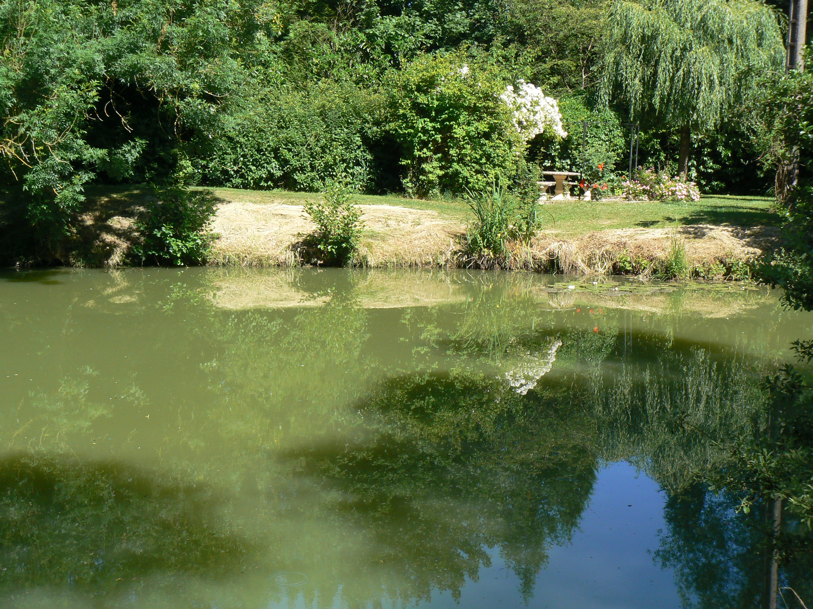 Le Chalet de l'étang : une escapade romantique en Lorraine à Sampigny — environnement naturel