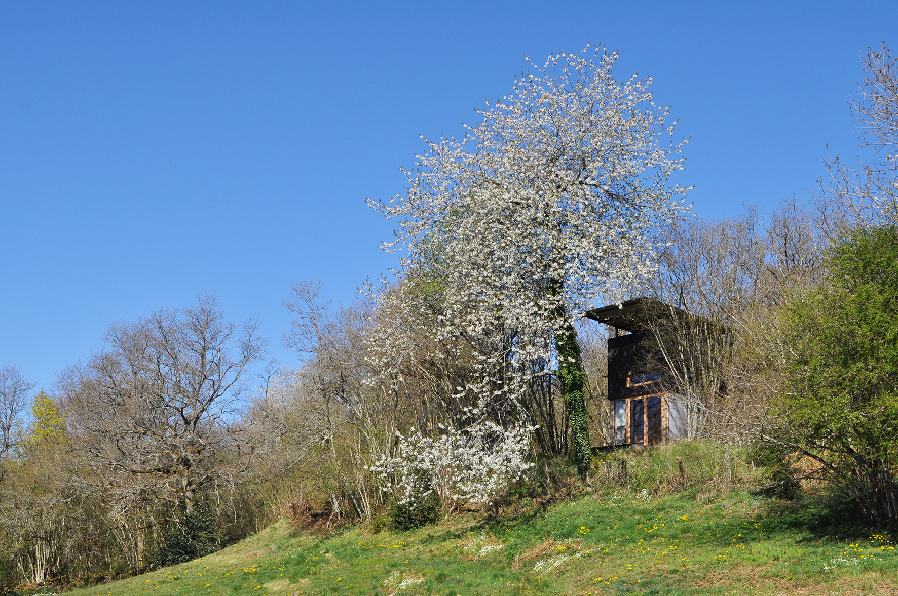 Cabane Latite : une échappée belle en Auvergne — Cabane à Manzat