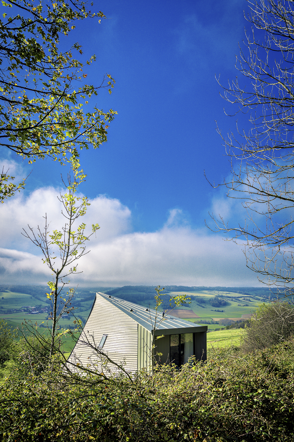 Ecolodge de luxe en pleine nature avec bain nordique à Massingy-Lès-Vitteaux — vue depuis la terrasse