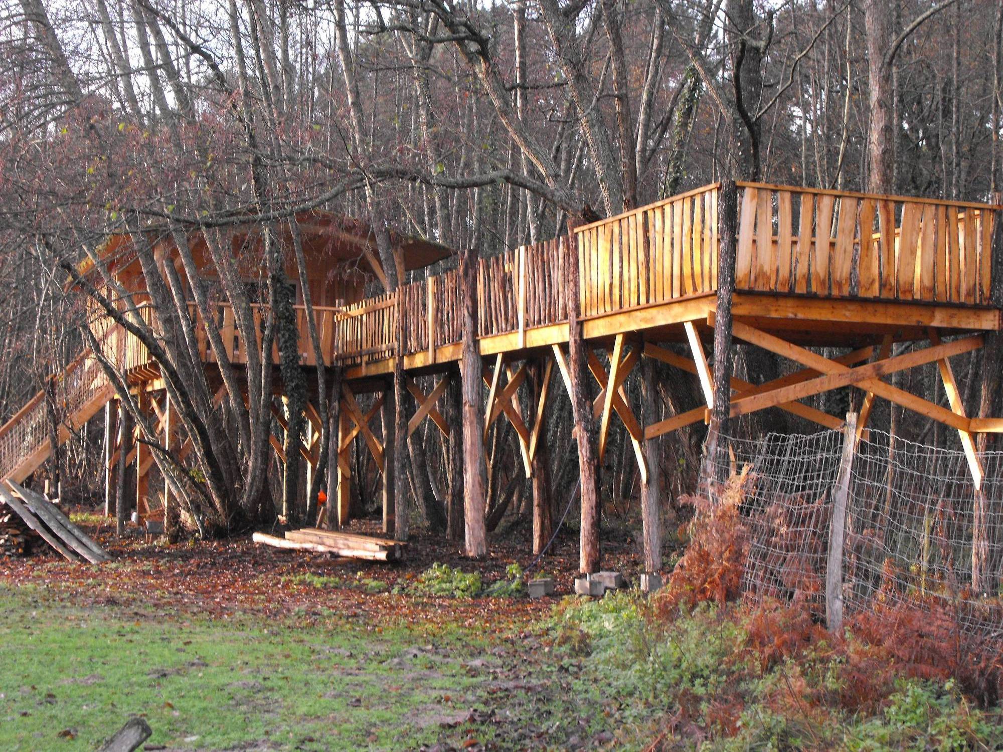 Cabane des Cerfs : une expérience suspendue en Aquitaine à Allons — cuisine