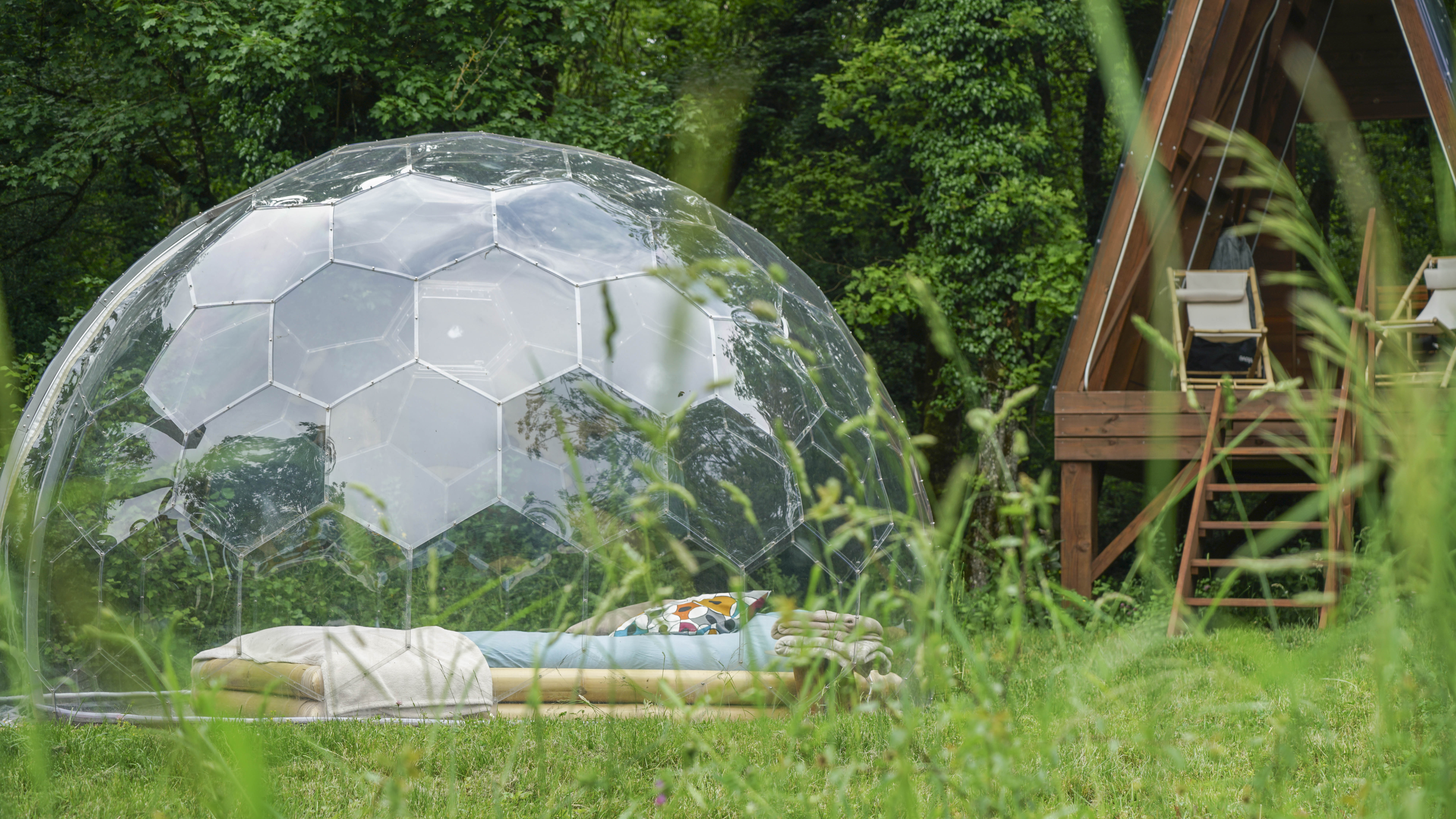 Bulle Transparente Royaume des Arômes