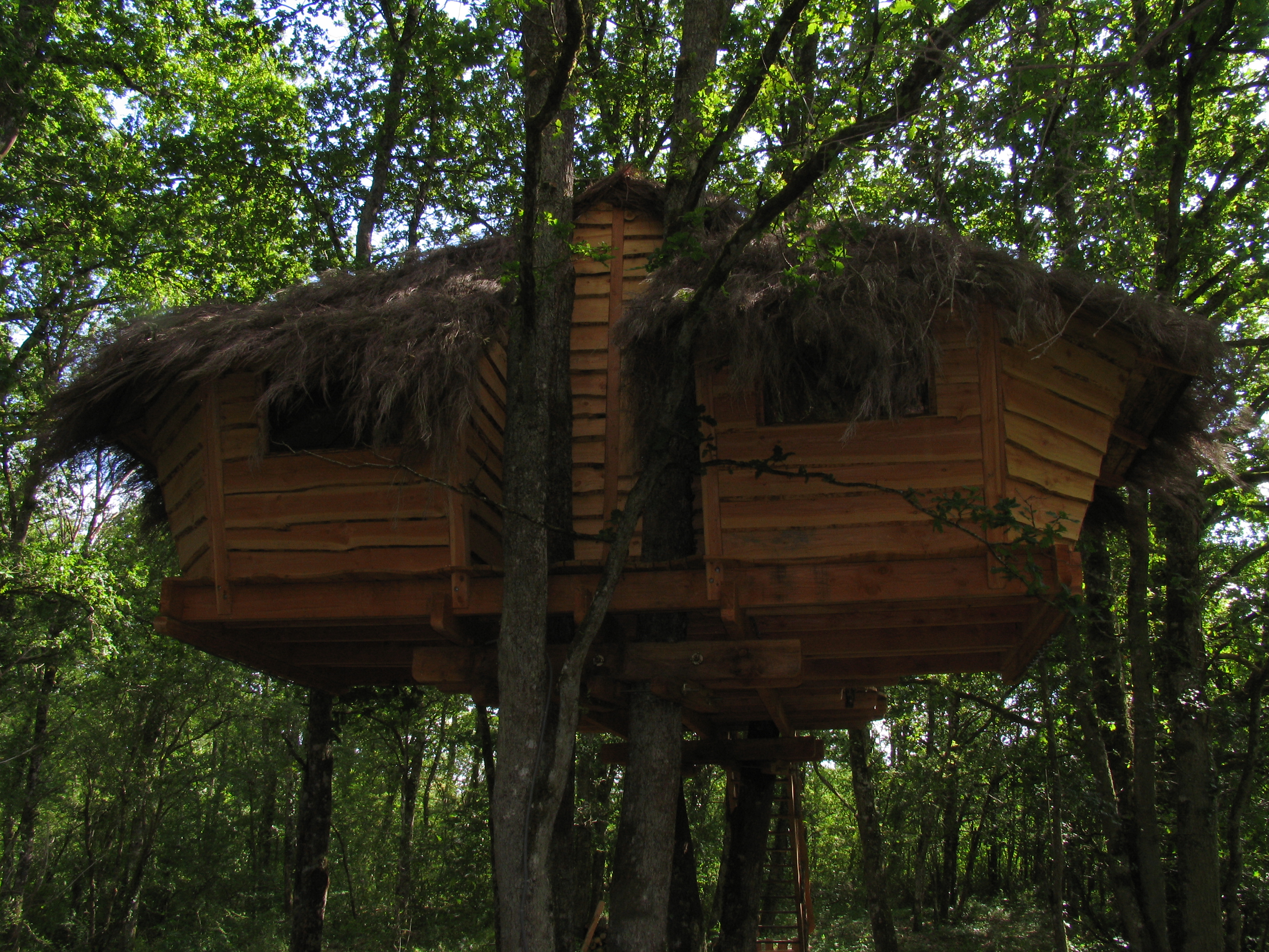 La Chamberloute : une cabane dans les arbres au cœur de la nature à Vouzon — espace de vie