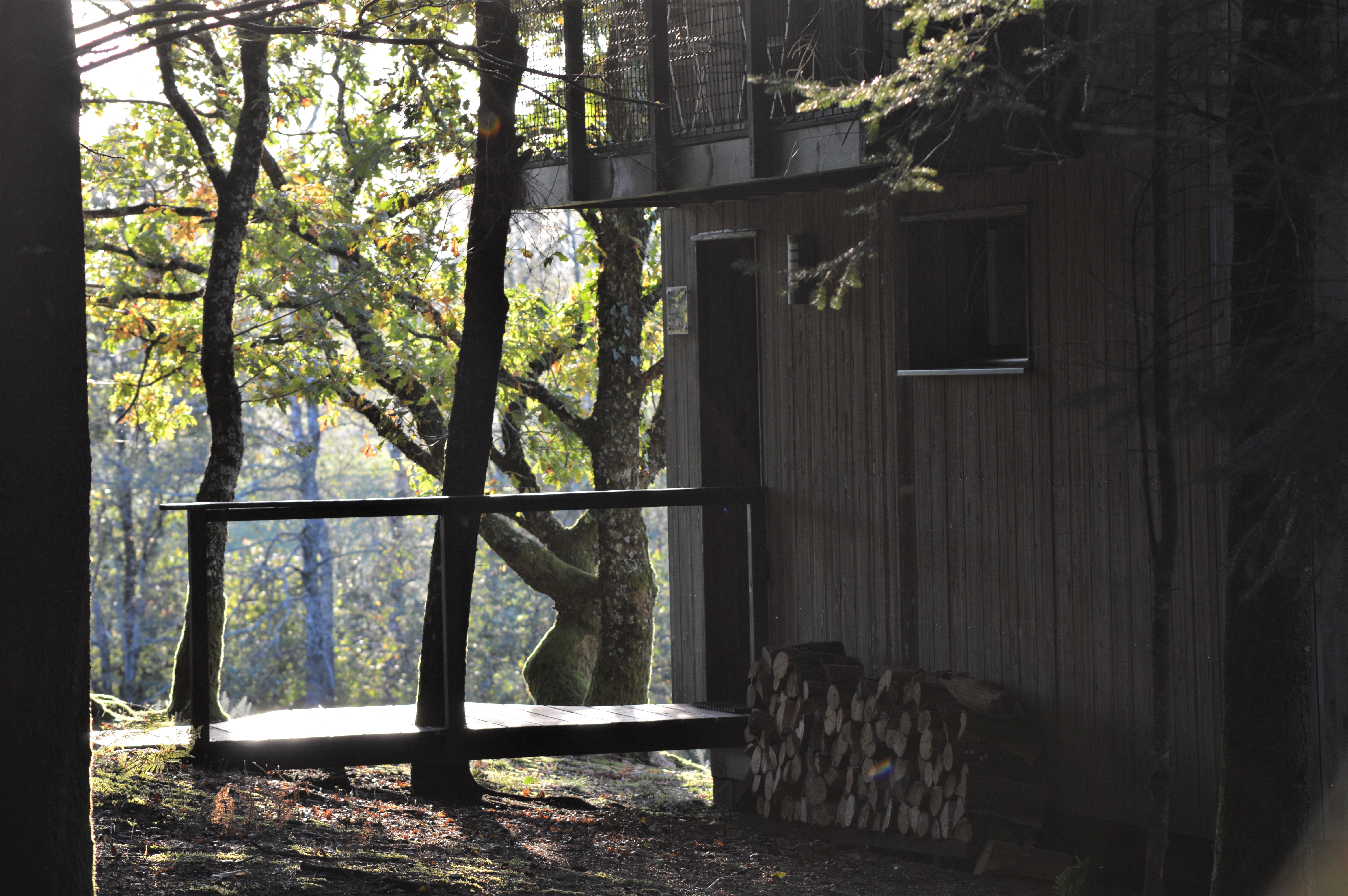 Lodge Spa Jeanne : une cabane immersive en Limousin à Palazinges — environnement naturel