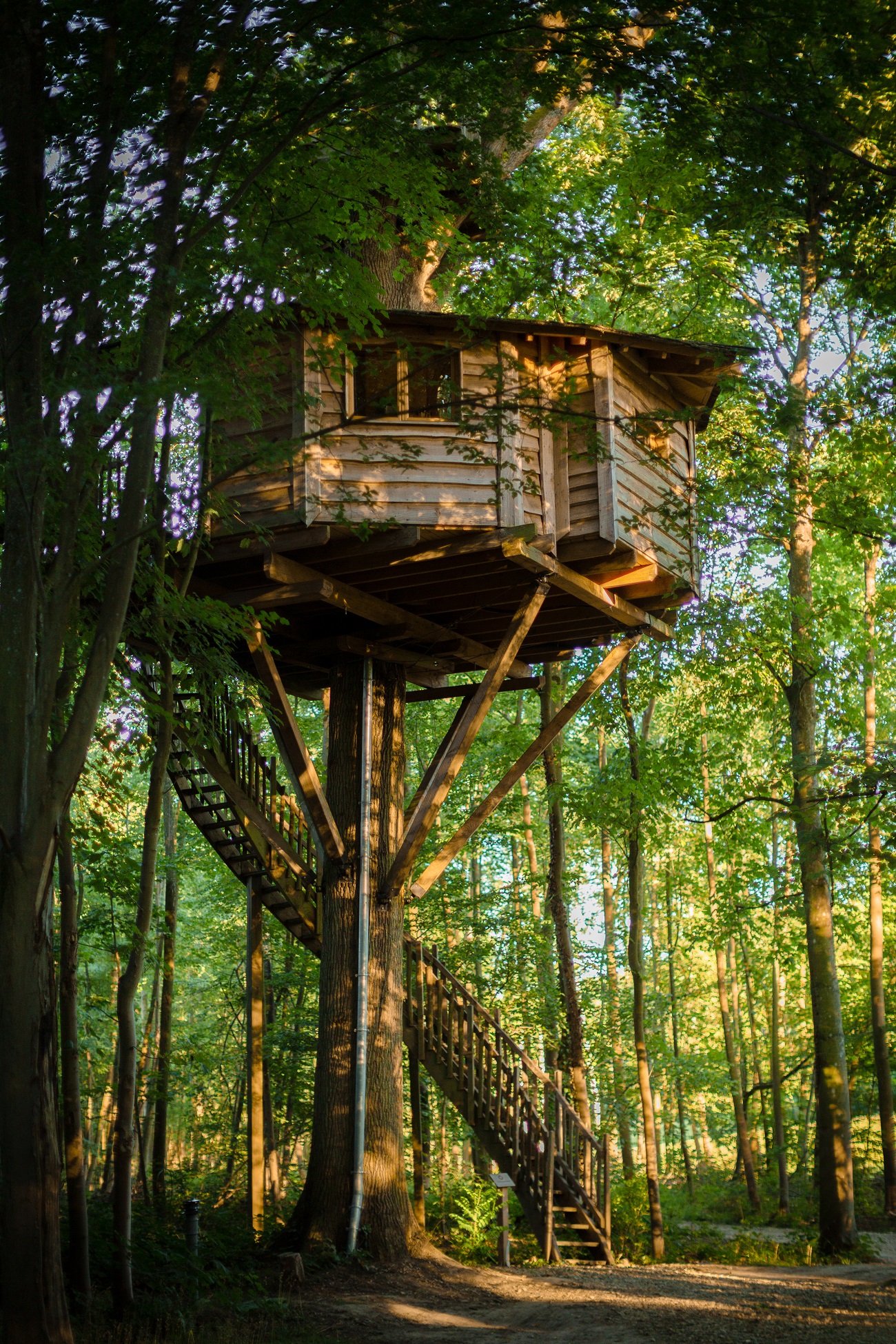 Cabane Spa Osmose : une escapade enchantée dans les arbres à Raray — vue intérieure
