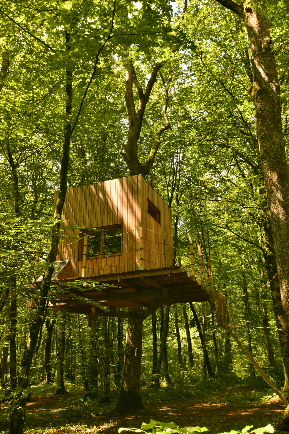 La Cabane Refuge : une évasion dans les arbres en Franche-Comté