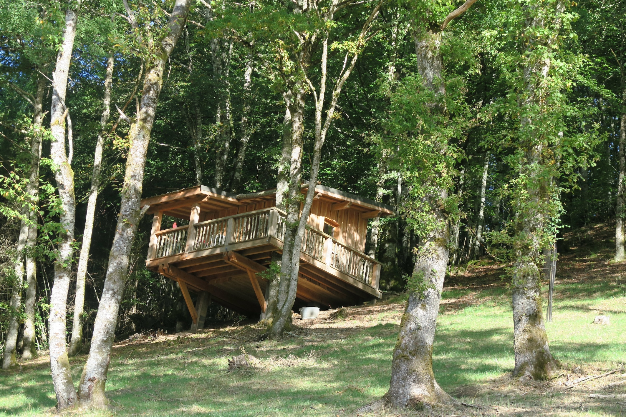 Cabane Chataignier — Cabane sur pilotis avec spa à Puy-de-Dôme