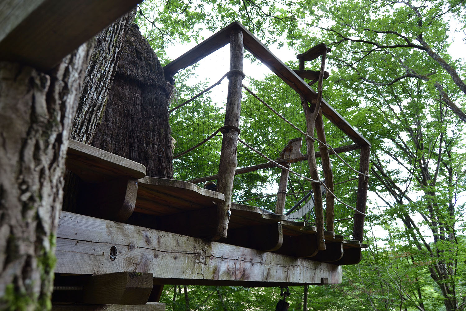 Cabane Canopée : une immersion dans les arbres en Franche-Comté à Ranchot — espace de vie