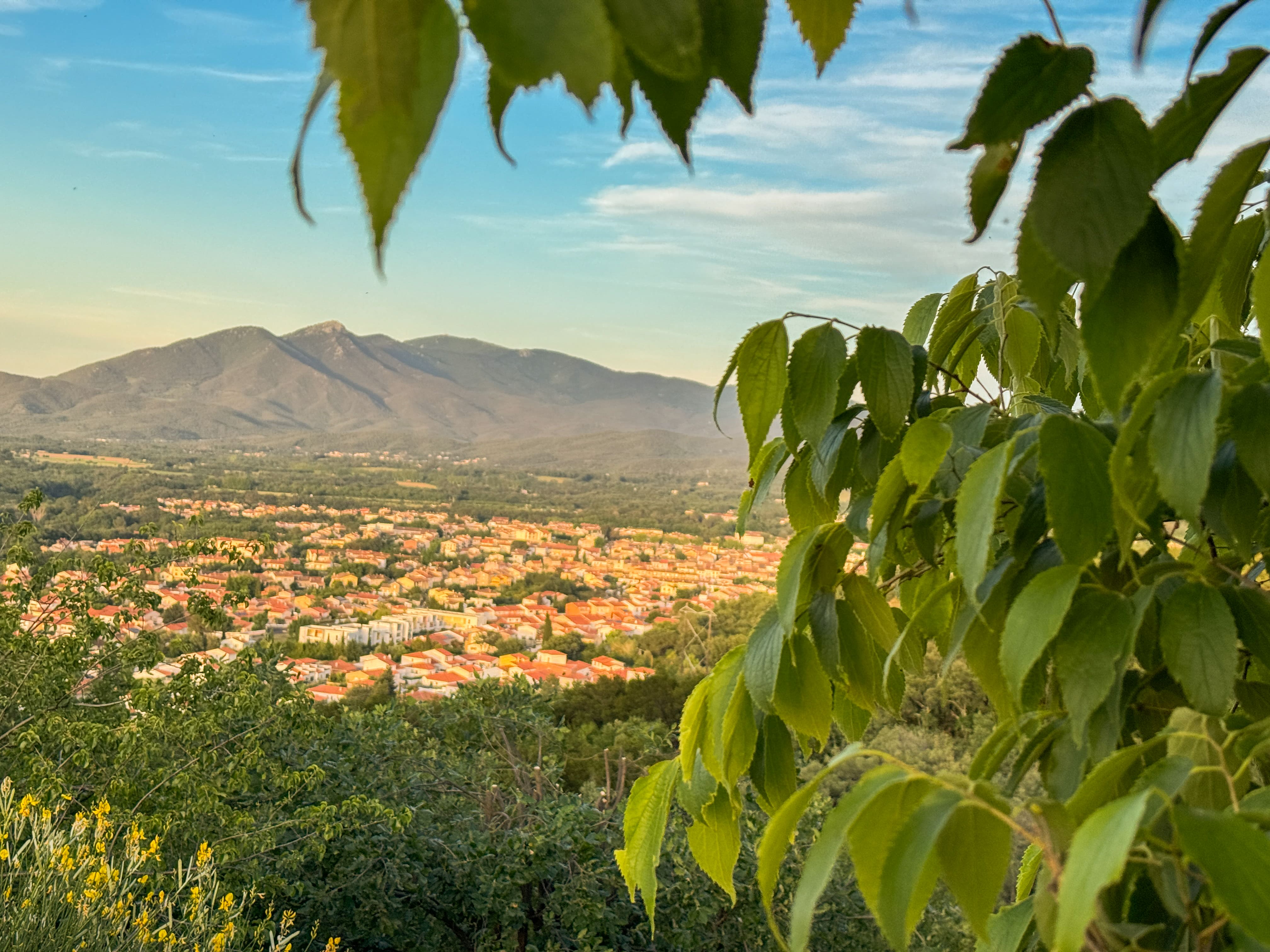 Le Paradis des Albères — Tiny House panoramique à Céret (Pyrénées-Orientales) à Céret — cuisine