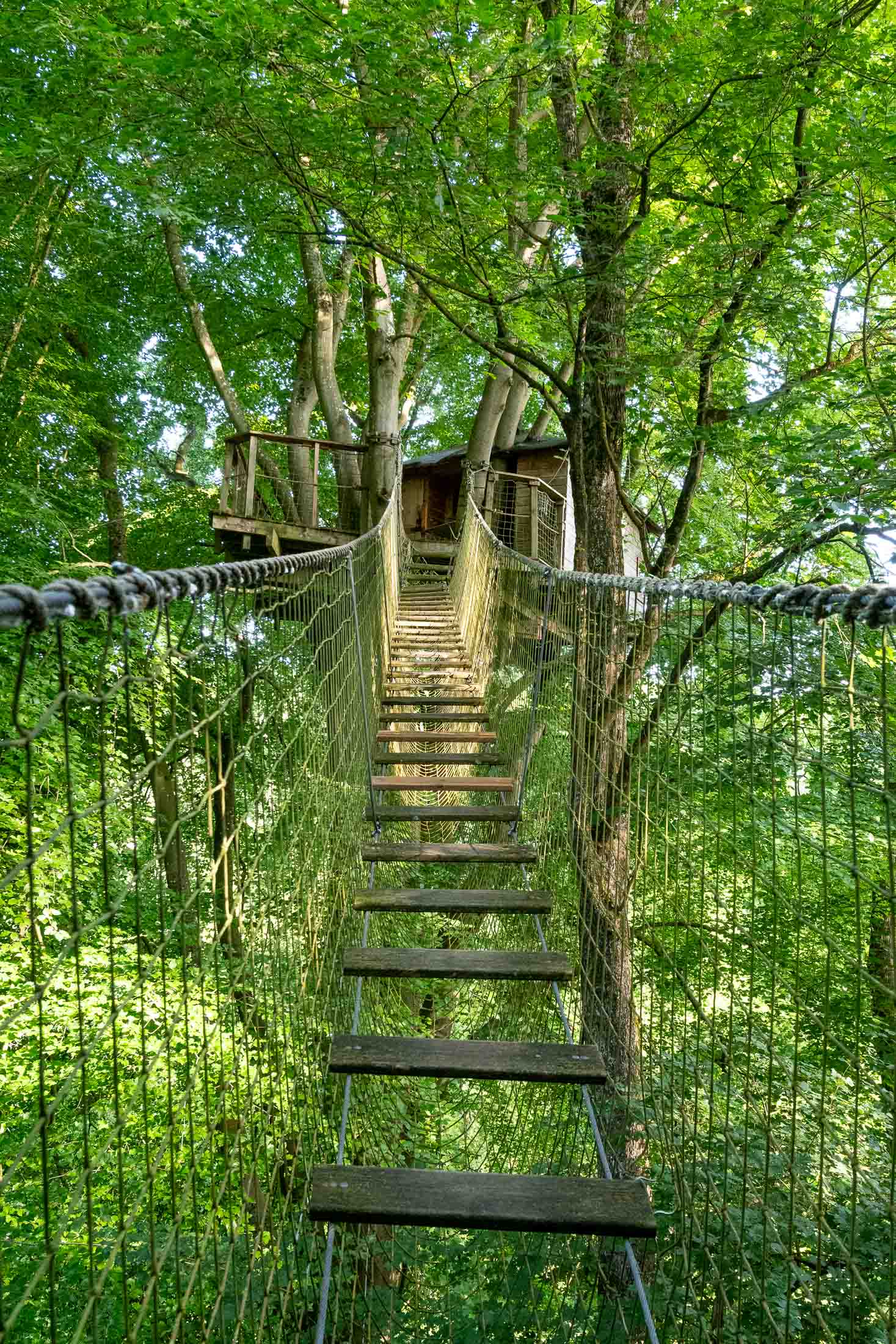Cabane Mésange — Nuit perchée à 17m dans les arbres en Calvados
