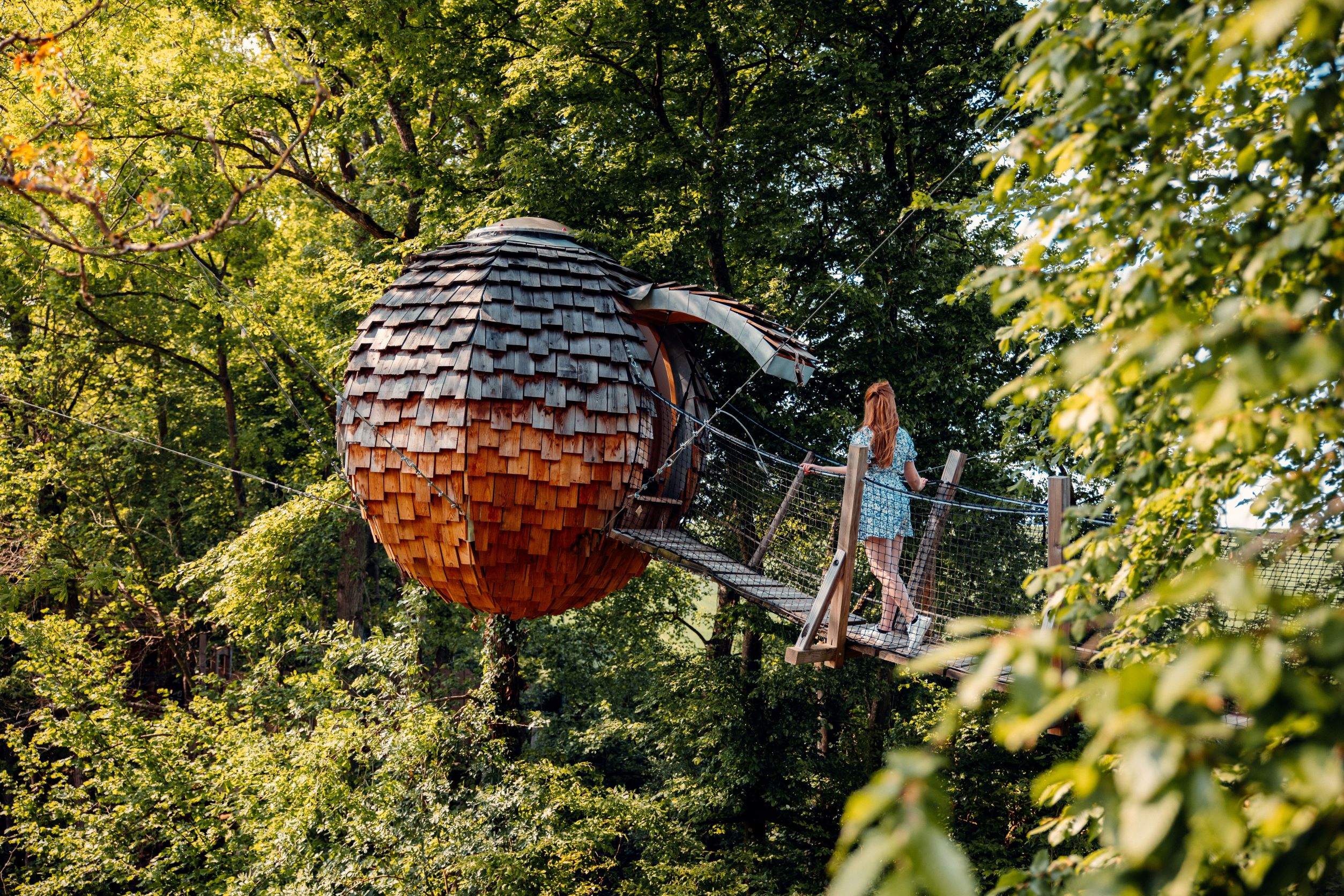 Cabane Spa Cocoon Étoilé : une évasion sensorielle en Picardie