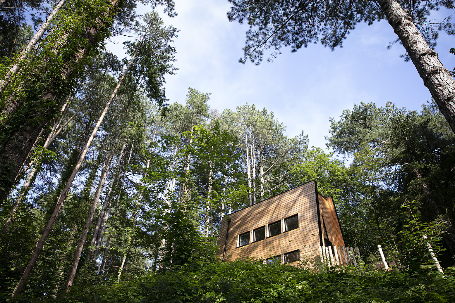 La Cabane Spa de Bain de Forêt — Cabane sur pilotis avec spa à Hardelot à Neufchâtel-Hardelot — vue intérieure