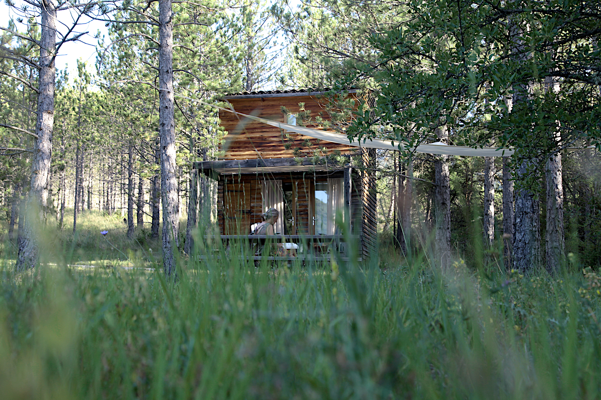 Pégase : une cabane en harmonie avec la nature