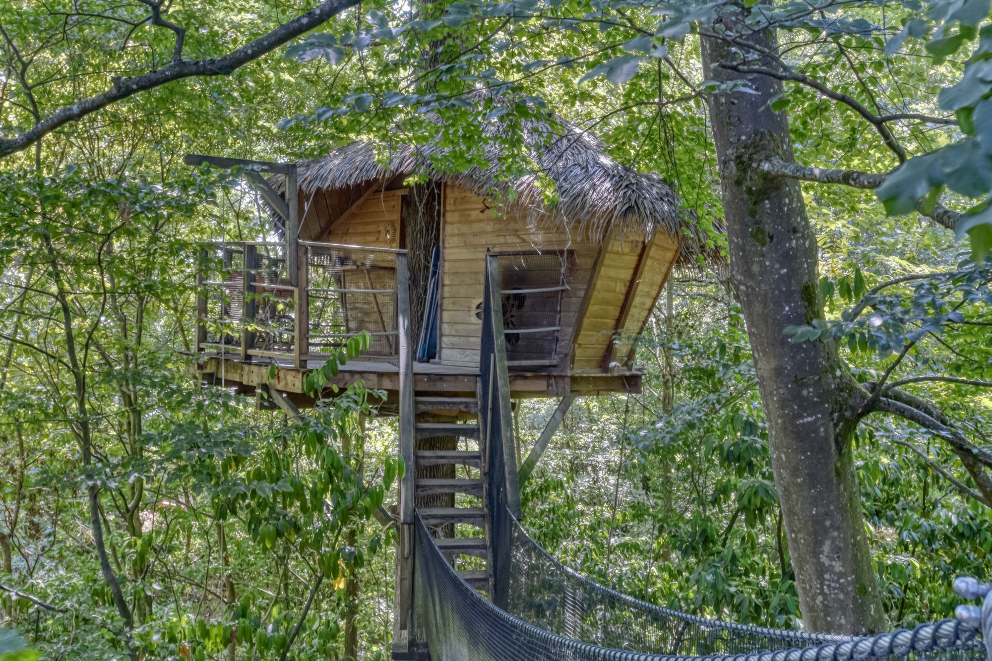 Cabane Zen perchée — Nuit romantique à 8m en Charente-Maritime à Pessines — vue intérieure