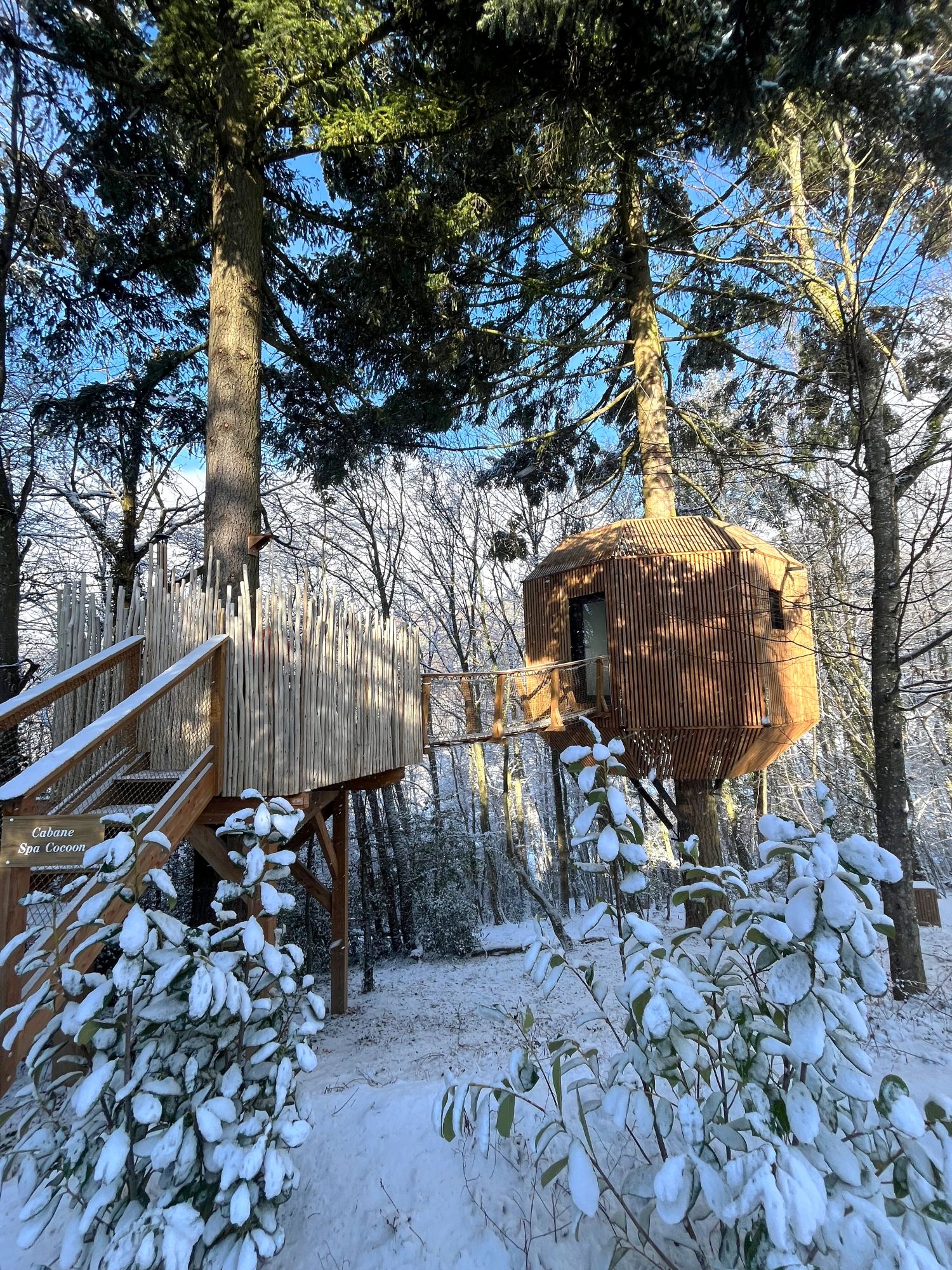 Cabane SPA Cocoon : une évasion en hauteur en Rhône-Alpes à Gillonnay — vue intérieure