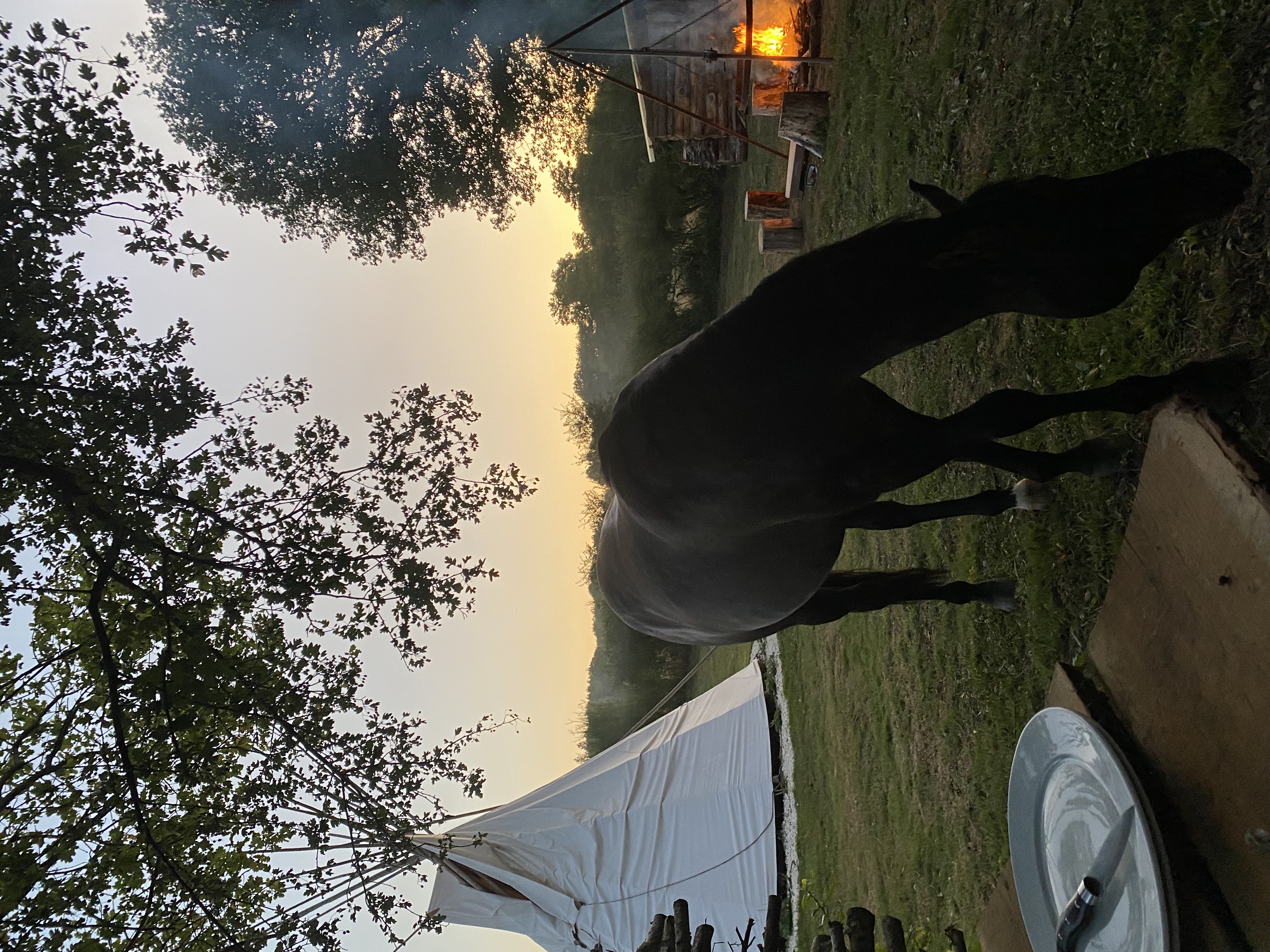 Tipi Lakota — Expérience authentique au bord d'un ruisseau en Nièvre à Nevers — salle de bain