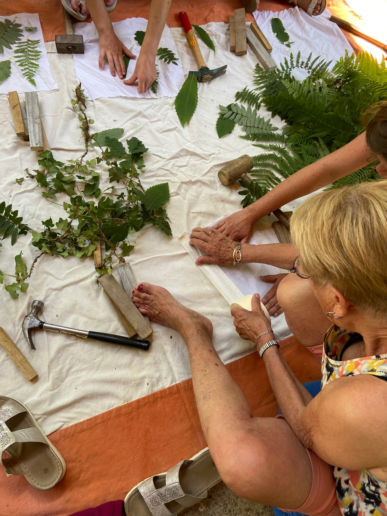 Roulotte 2 chambres — Séjour détente avec spa à La Forêt (Sarthe) à Saint-Calais — environnement naturel