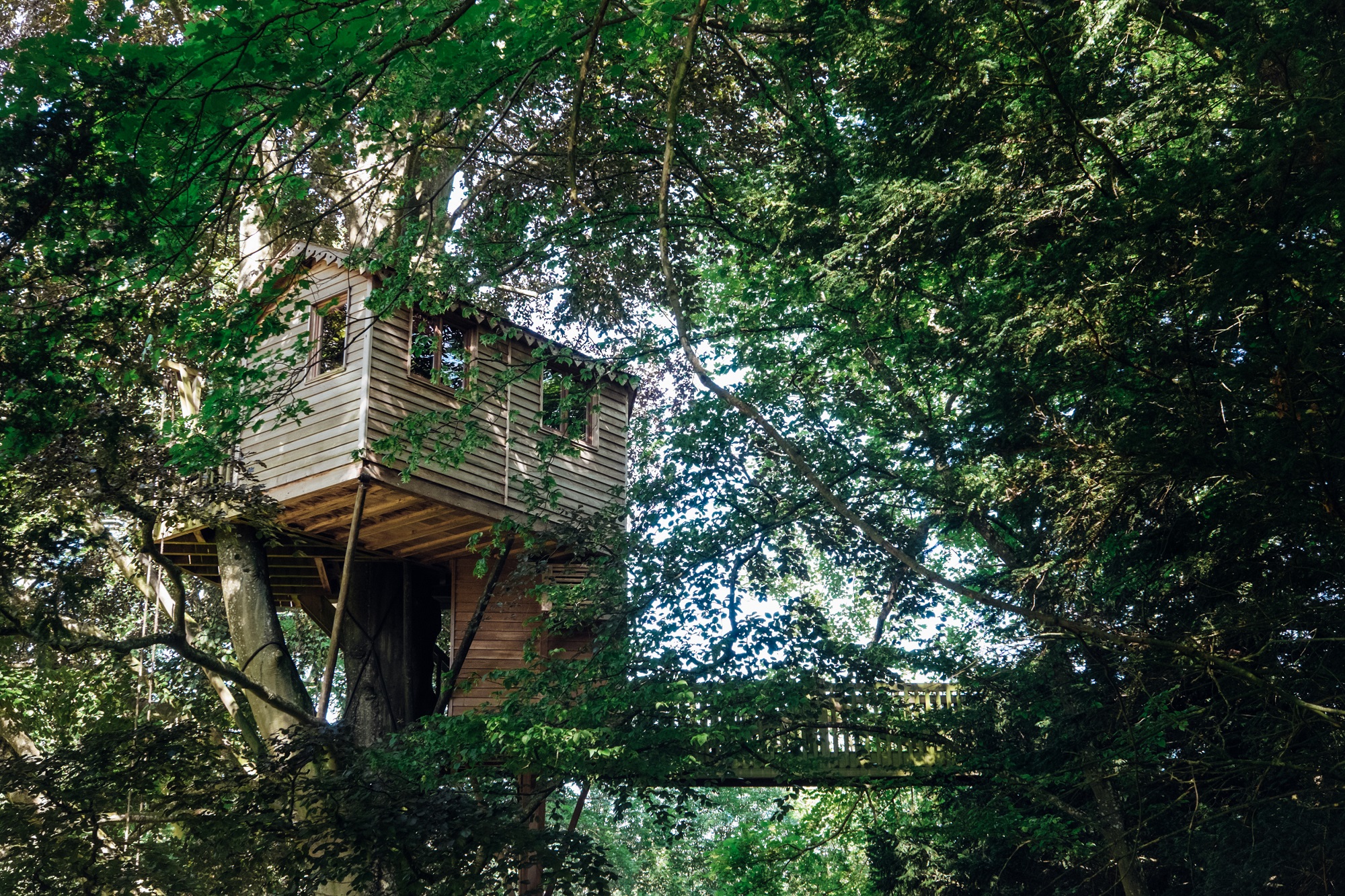 Cabane perchée la Canopée — Nuit à 10m de hauteur à Marne à Châlons-en-Champagne — détail architectural