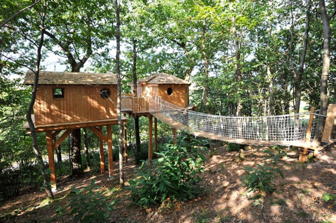 Cabane du Haut : une immersion dans les arbres en Rhône-Alpes