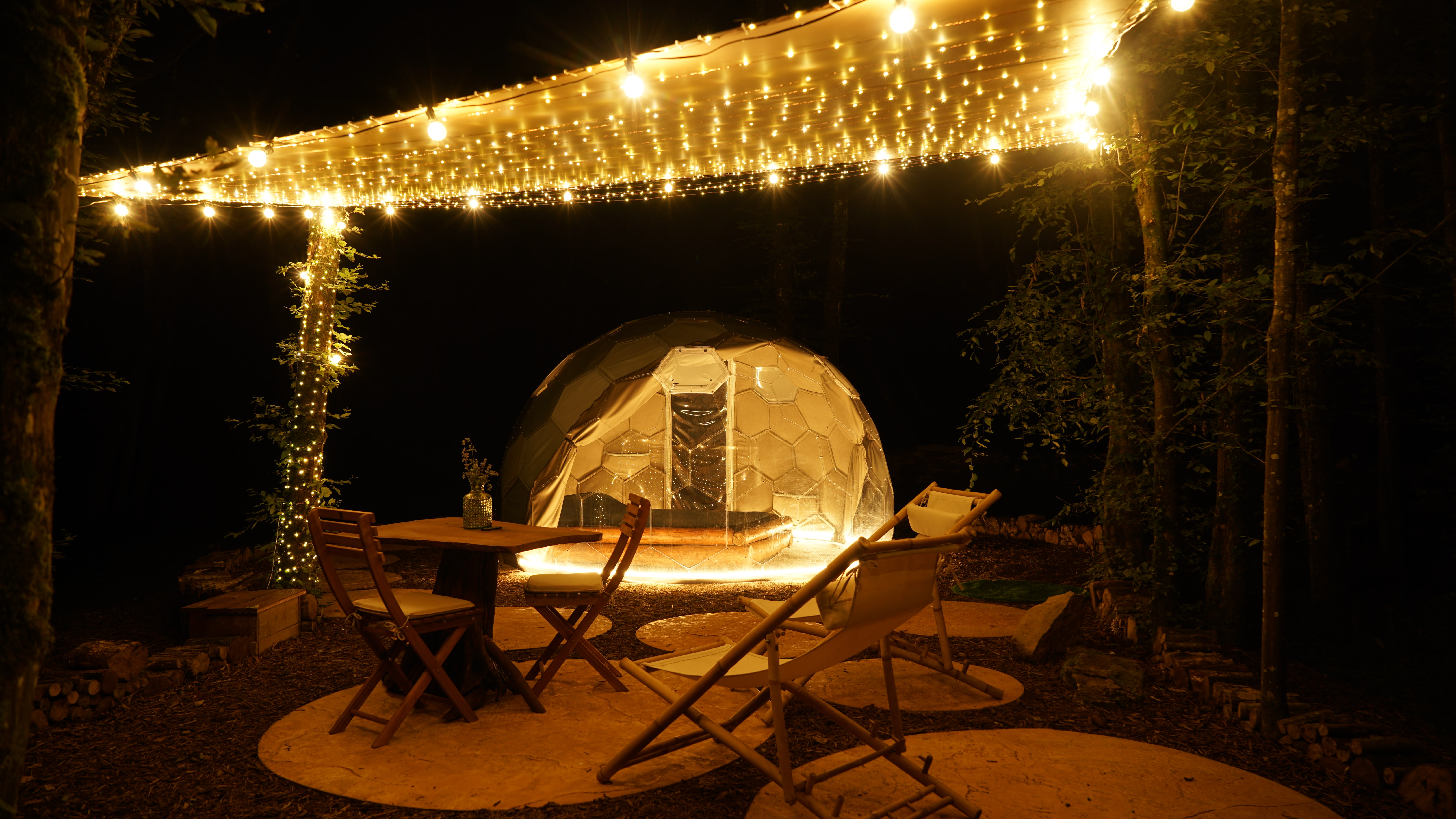 Bulle au cœur des bois - Royaume des Textures