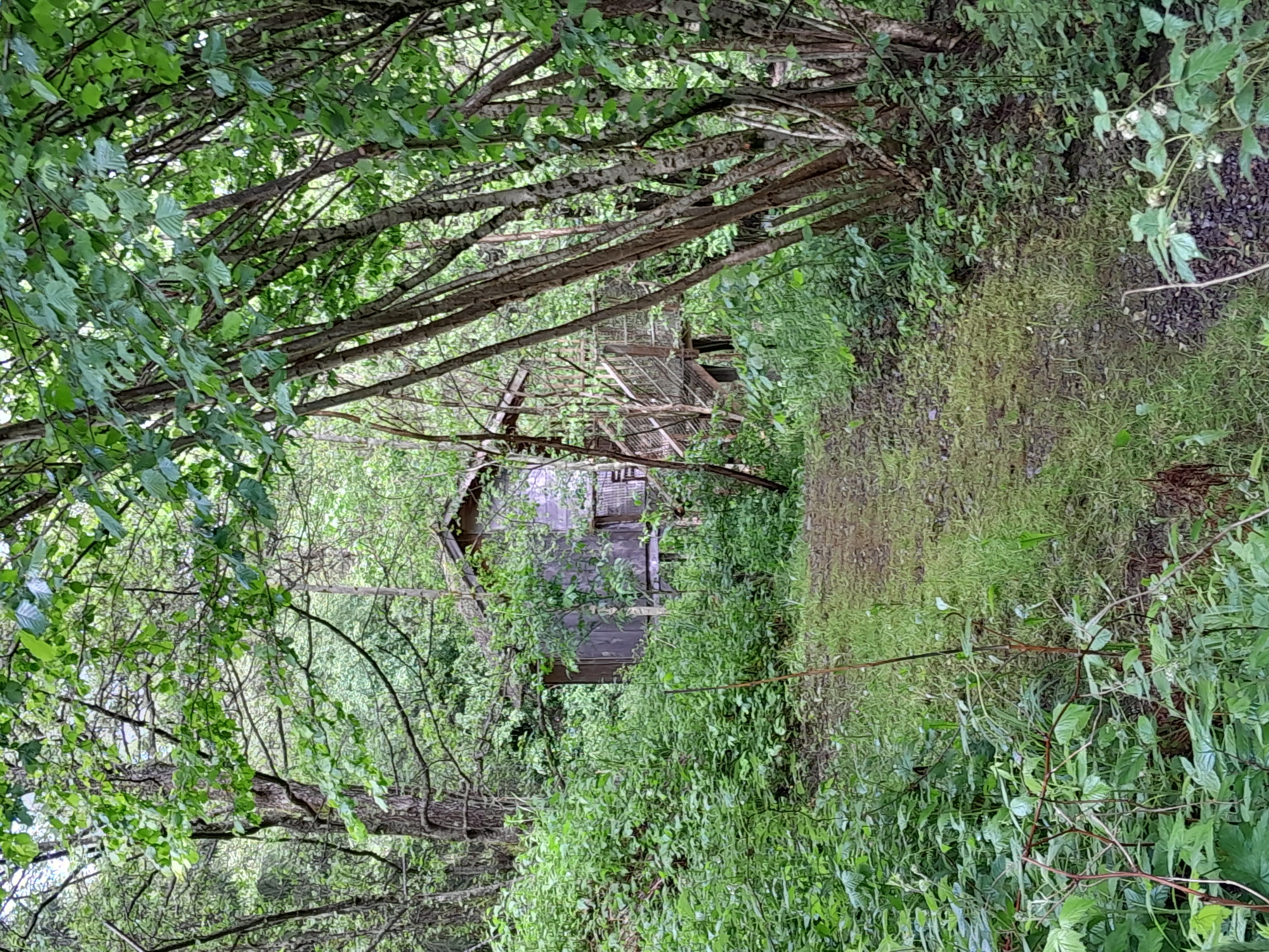 La cabane l'Ile aux Pêcheurs : une échappée en hauteur à Grandfontaine — salle de bain