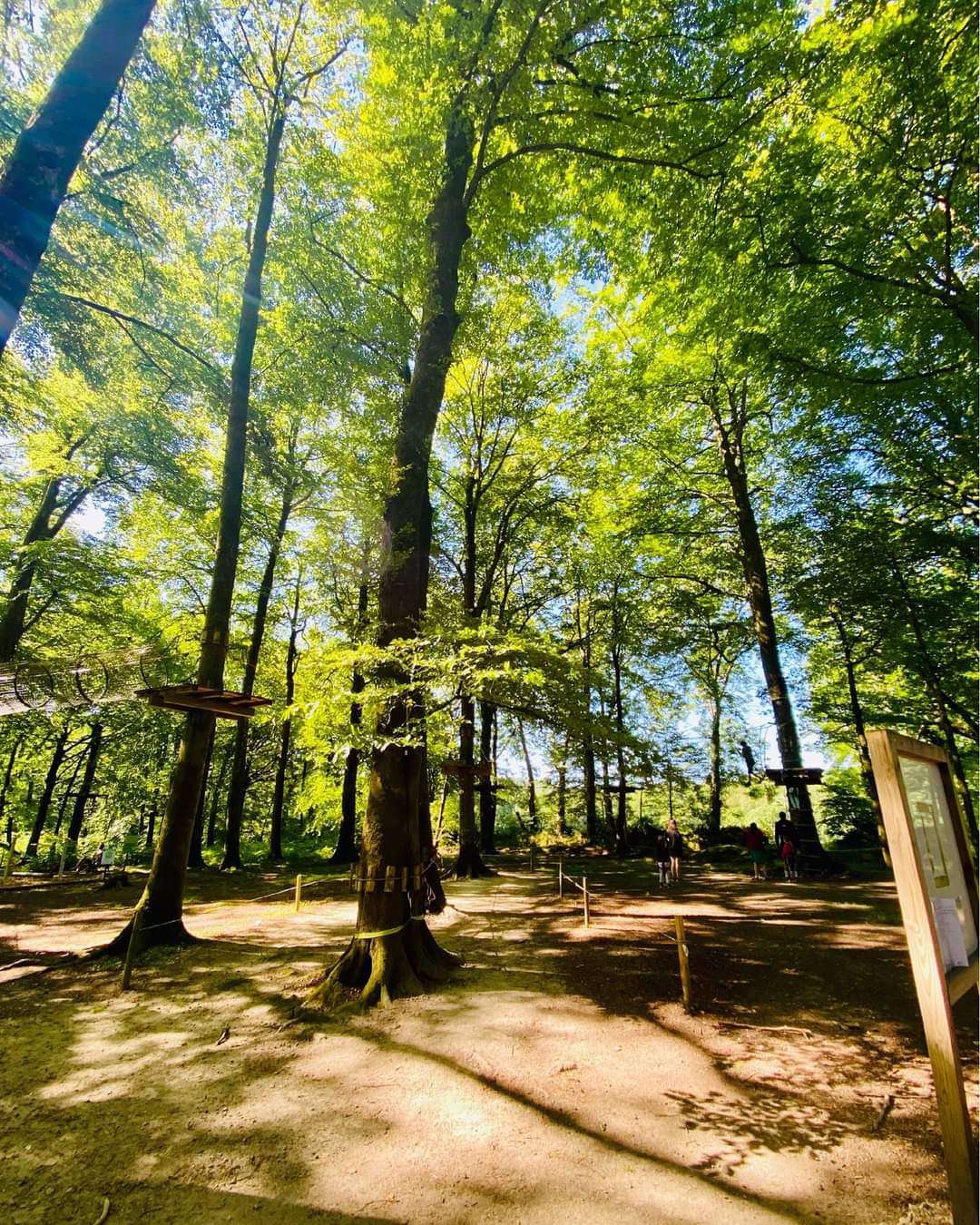 Évasion dans une cabane spa perchée en Basse-Normandie à Saint-Sever-Calvados — environnement naturel
