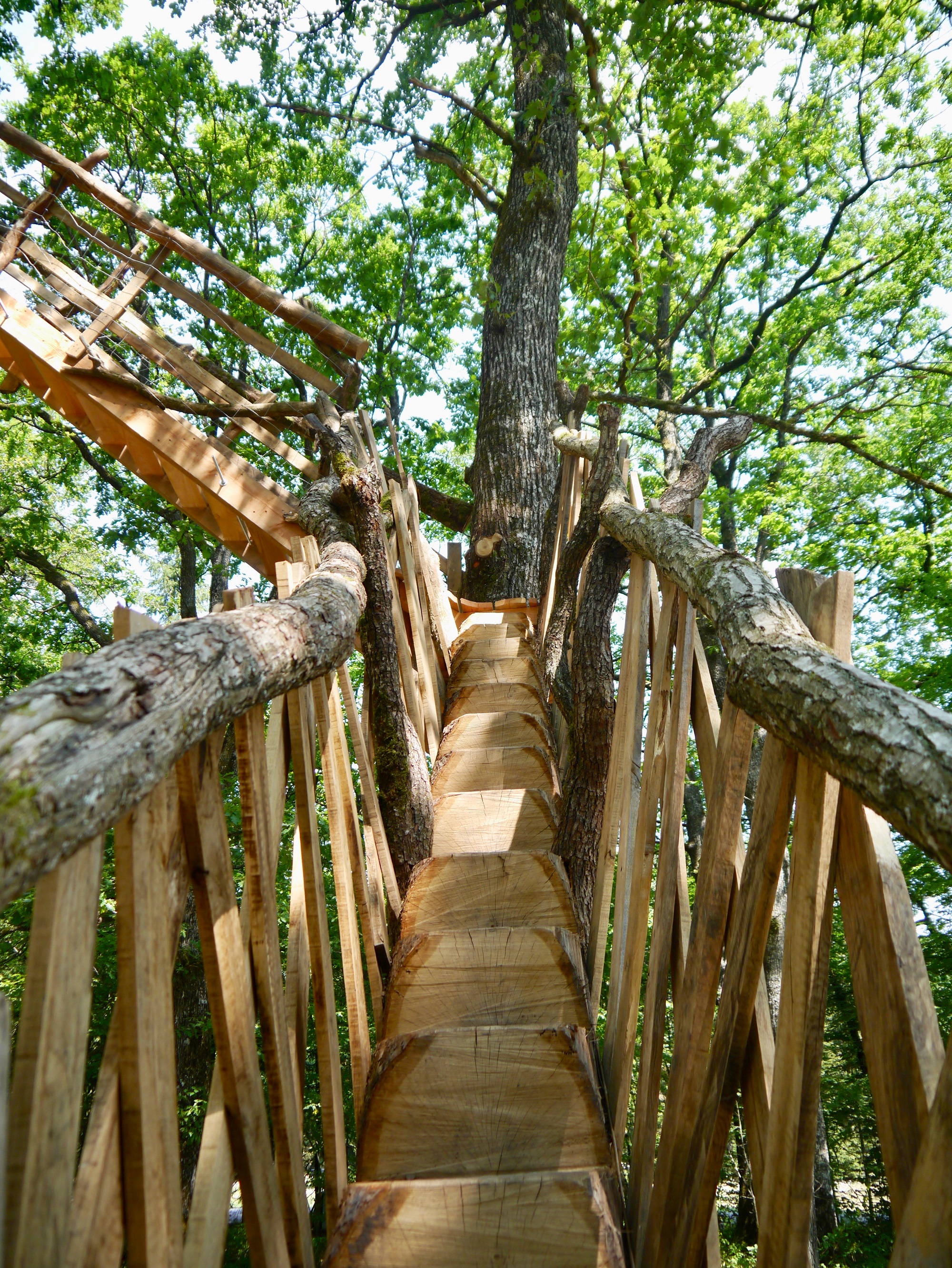 Arbràmâne : une cabane perchée au cœur de la Lorraine à Vittel — vue intérieure