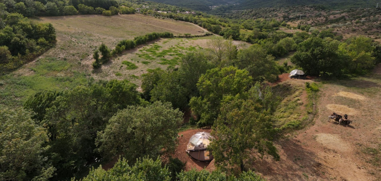 Bulle des Frênes — Nuit suspendue au-dessus d'un ruisseau en Hérault à Lodève — cuisine