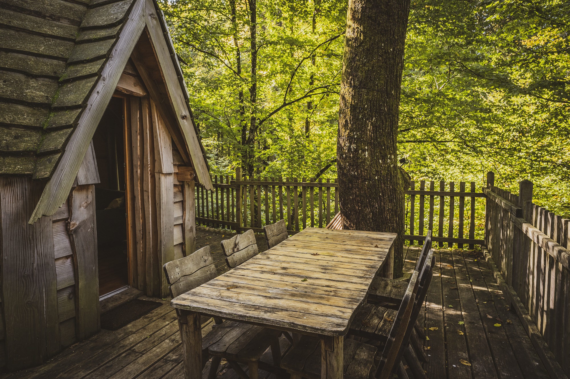 Cabane enchantée : une expérience magique dans les arbres à Joncherey — espace de vie