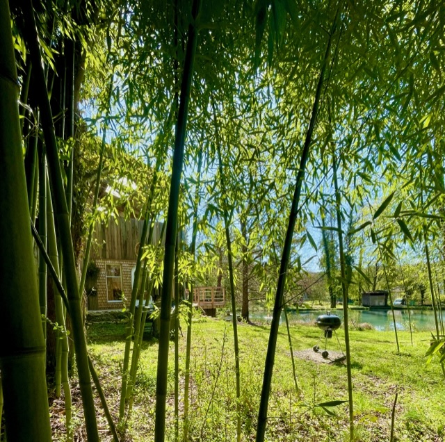 Un chalet en châtaignier au bord de l’eau à Sauvigny Les Bois — vue intérieure