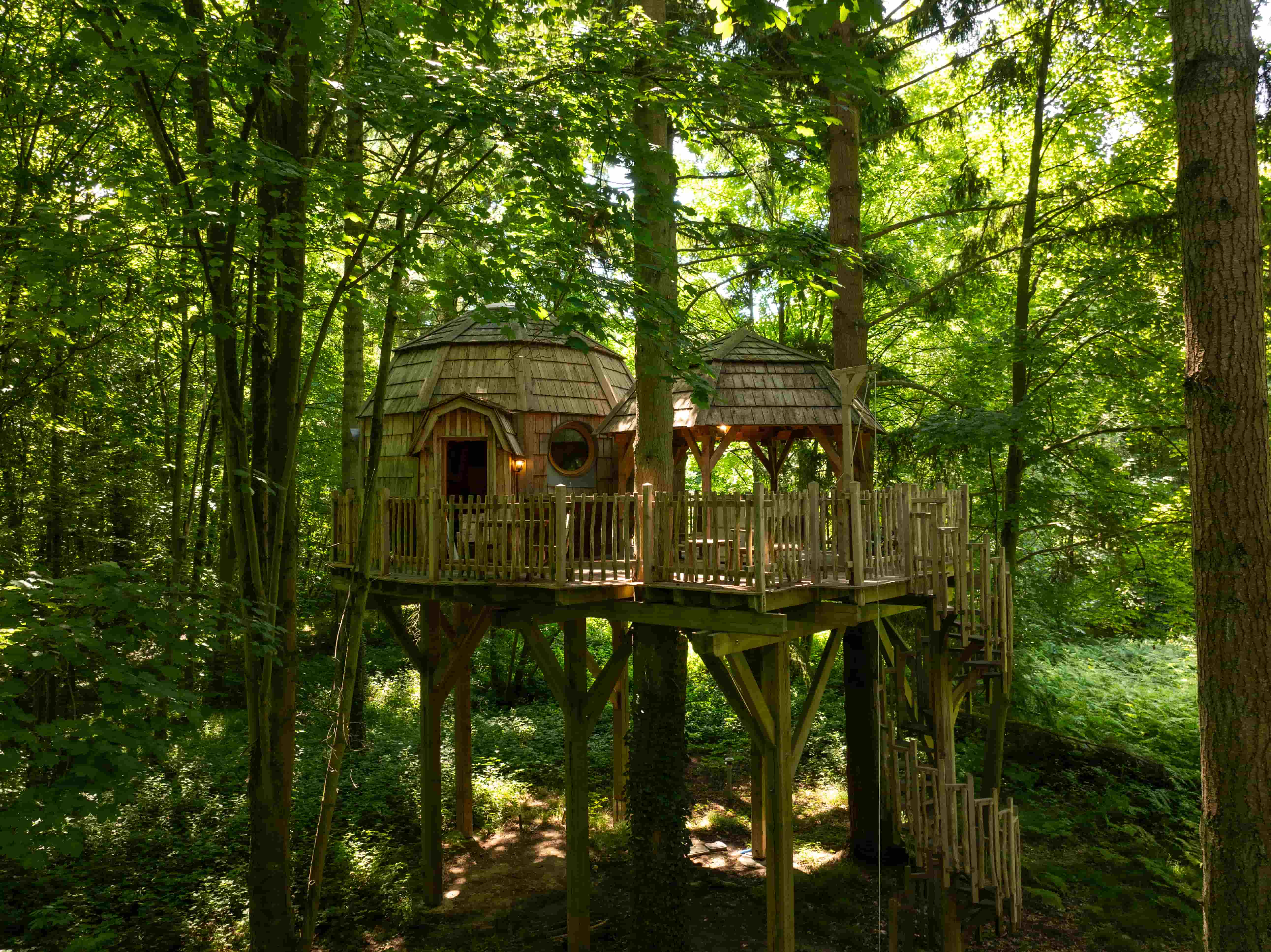 Cabane Spa Coupole : une immersion dans les arbres en Picardie à Raray — vue intérieure