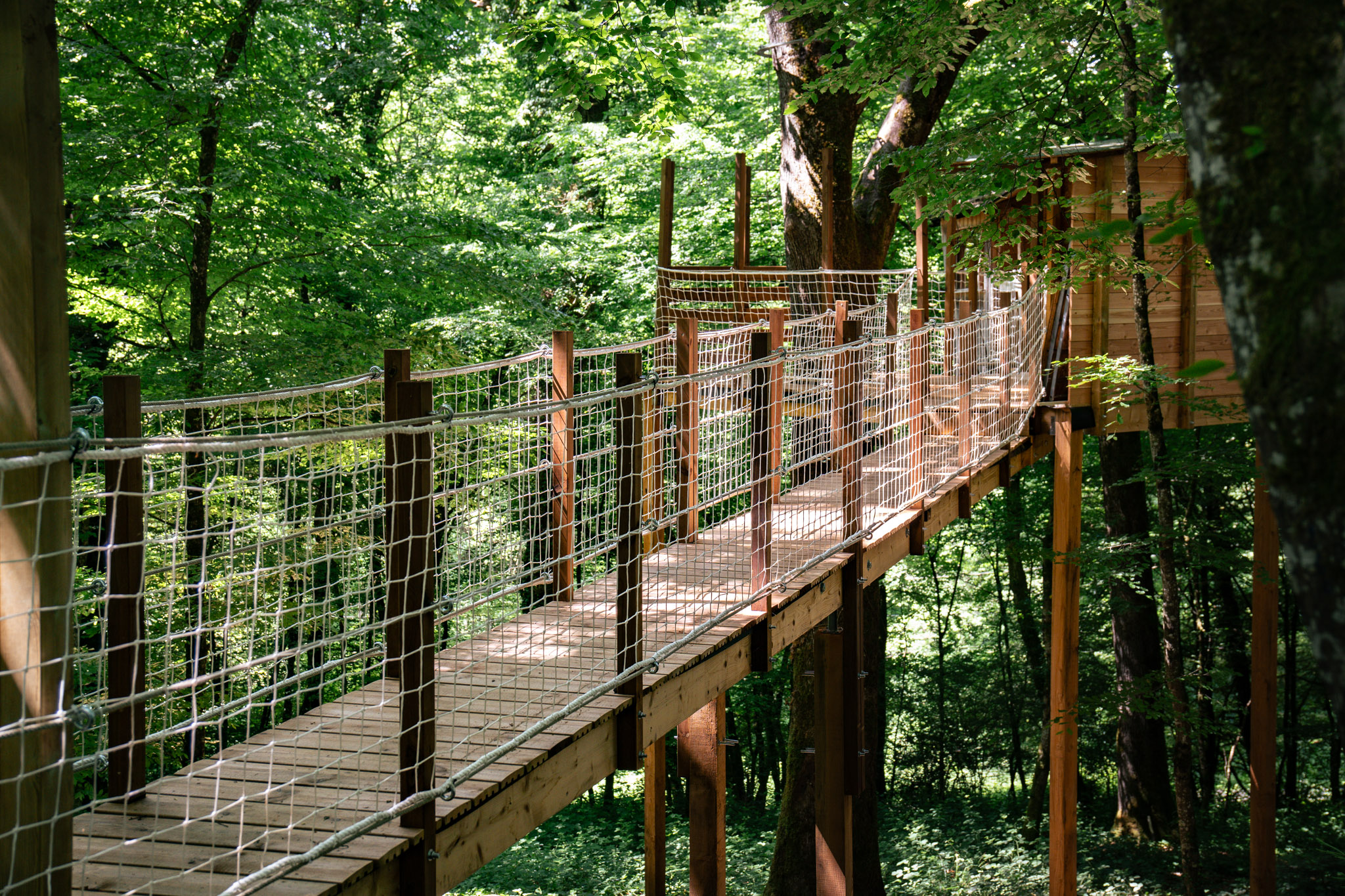 Cabane Eole : une expérience suspendue dans les arbres à Ranchot — espace de vie