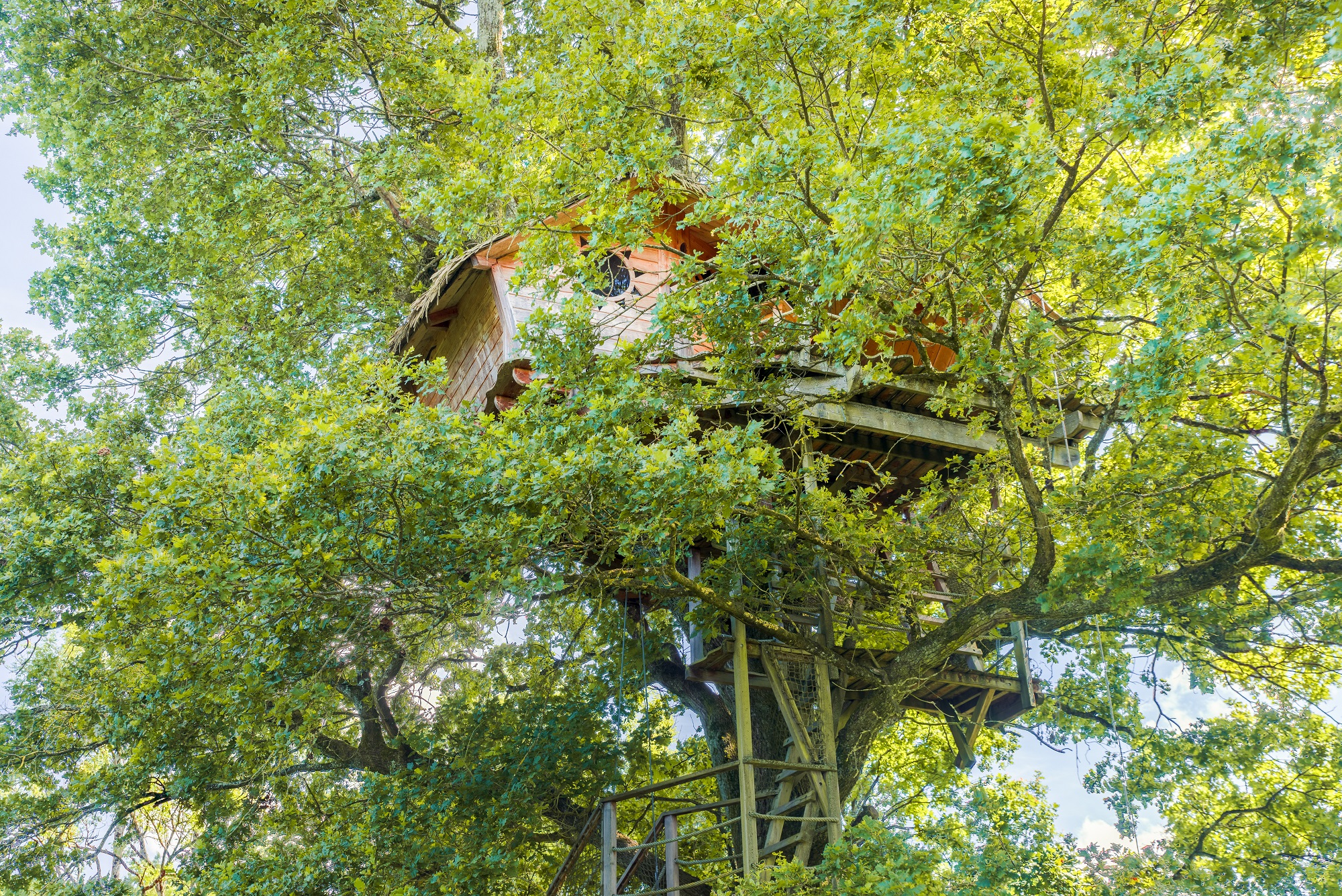 Cabane Infinie : une évasion perchée dans les arbres à Chassey-Lès-Montbozon — espace de vie